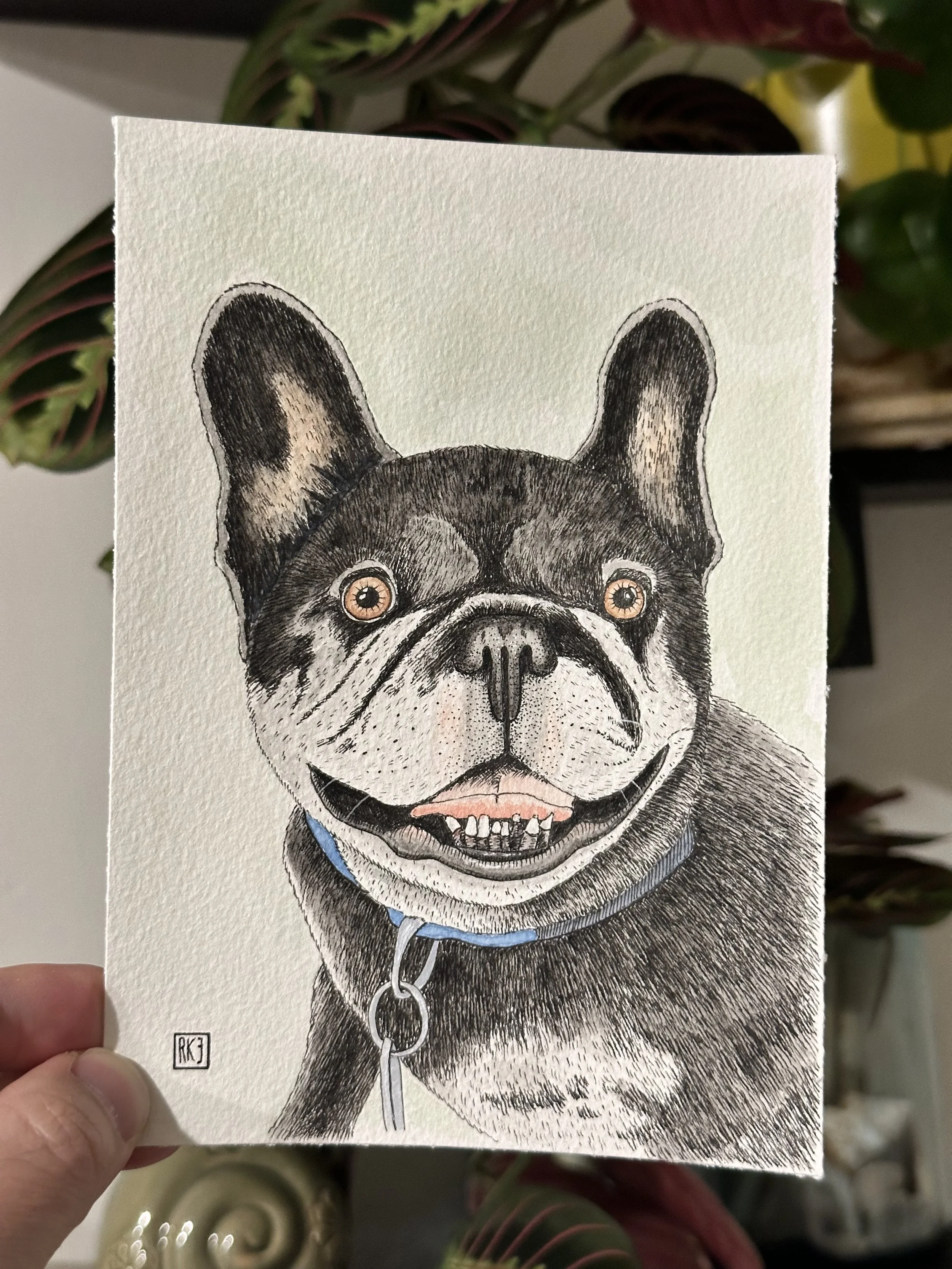 Fitzgerald - A Pup Portrait