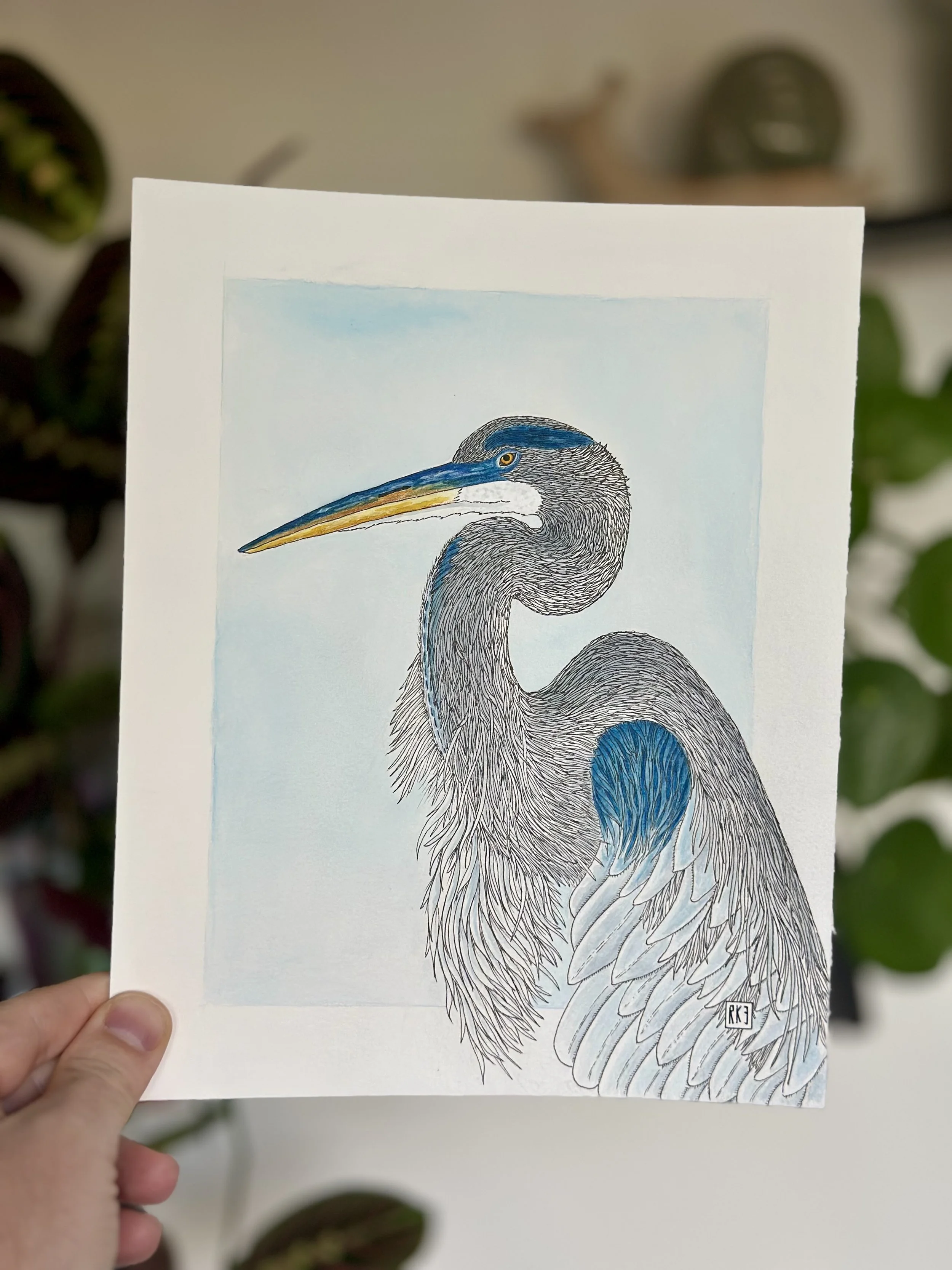Blue Heron