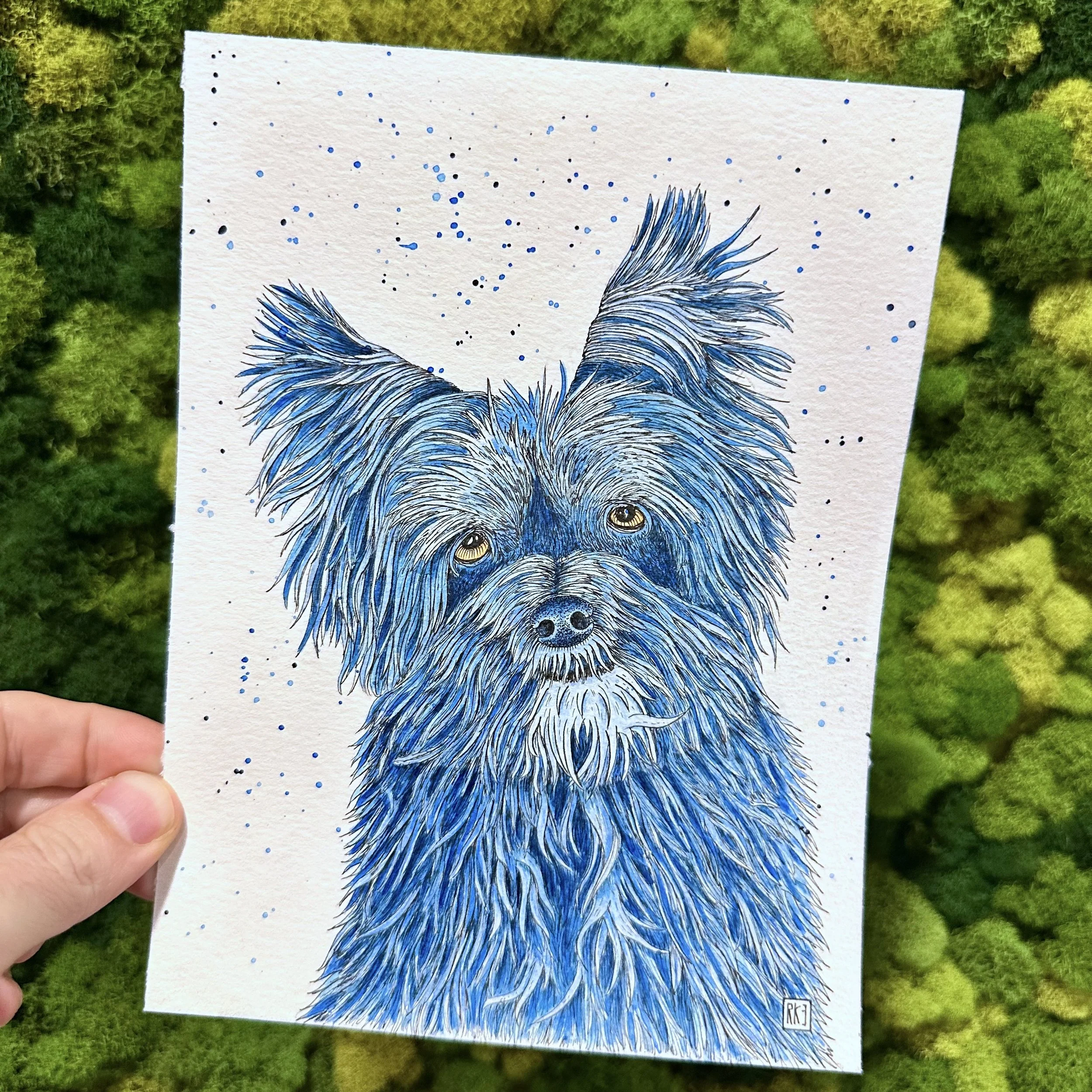 Lily - A Pup Portrait