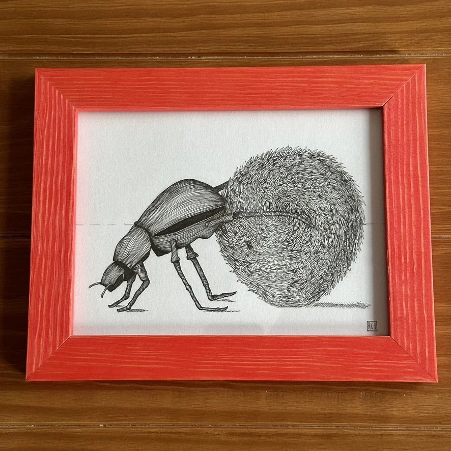 Dung Beetle