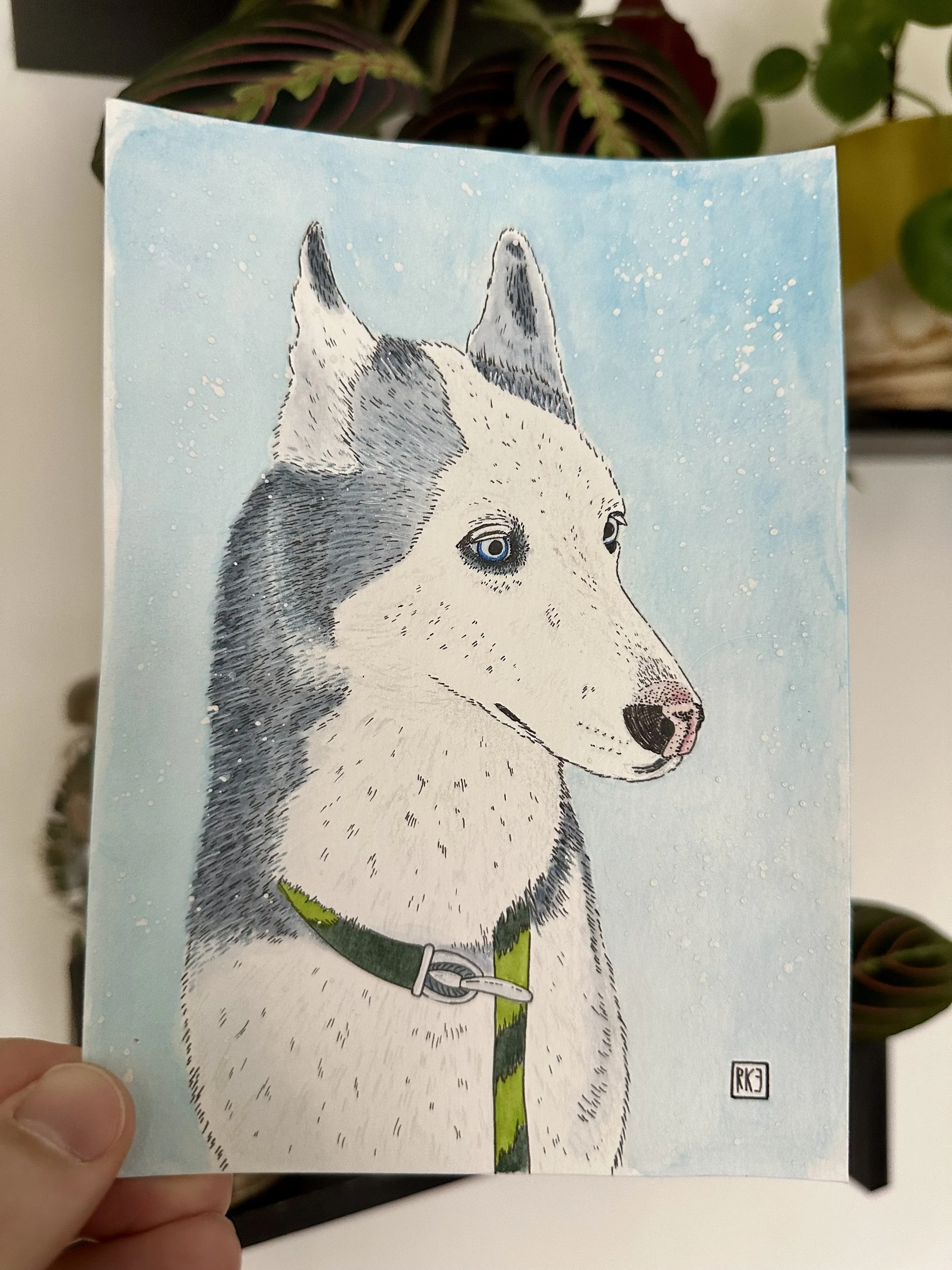 Kiki - A Pup Portrait