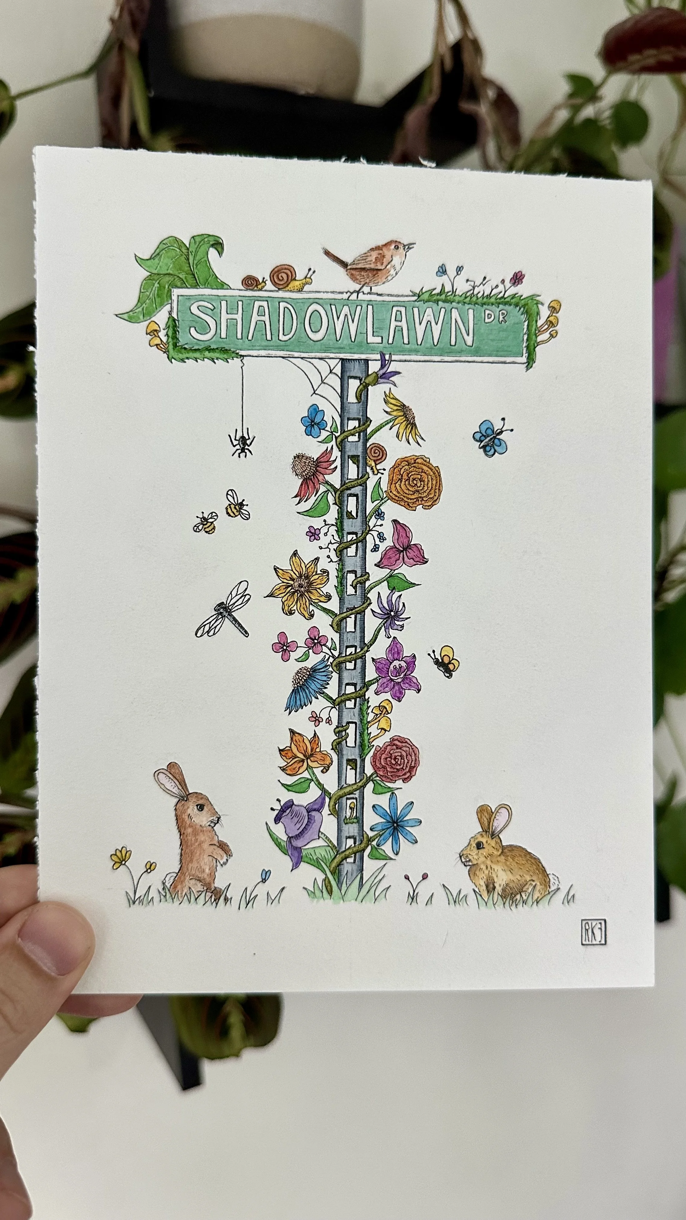 Shadowlawn Drive