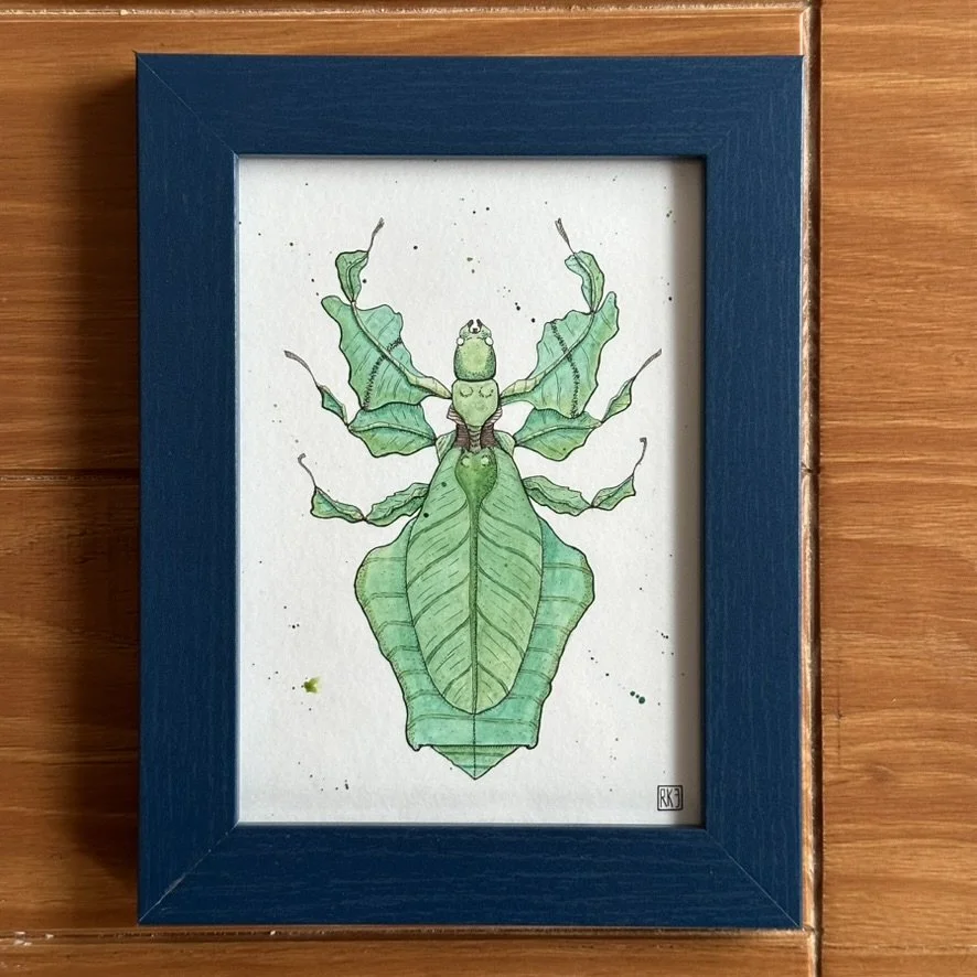 Leaf Insect