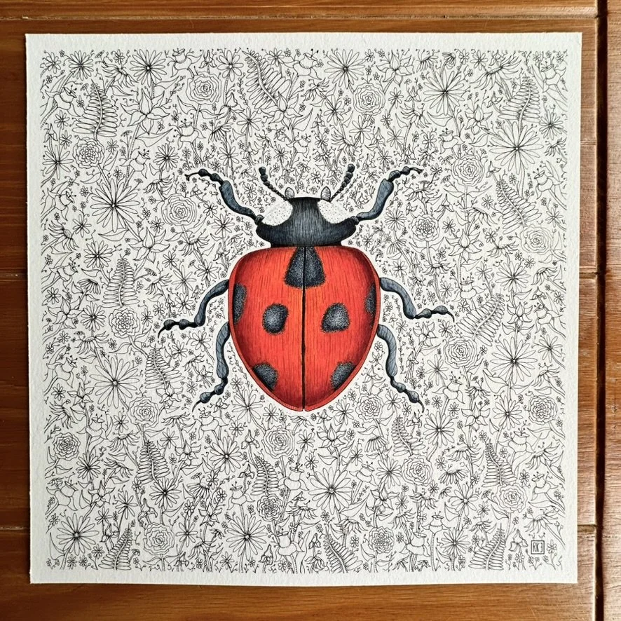 Ladybug