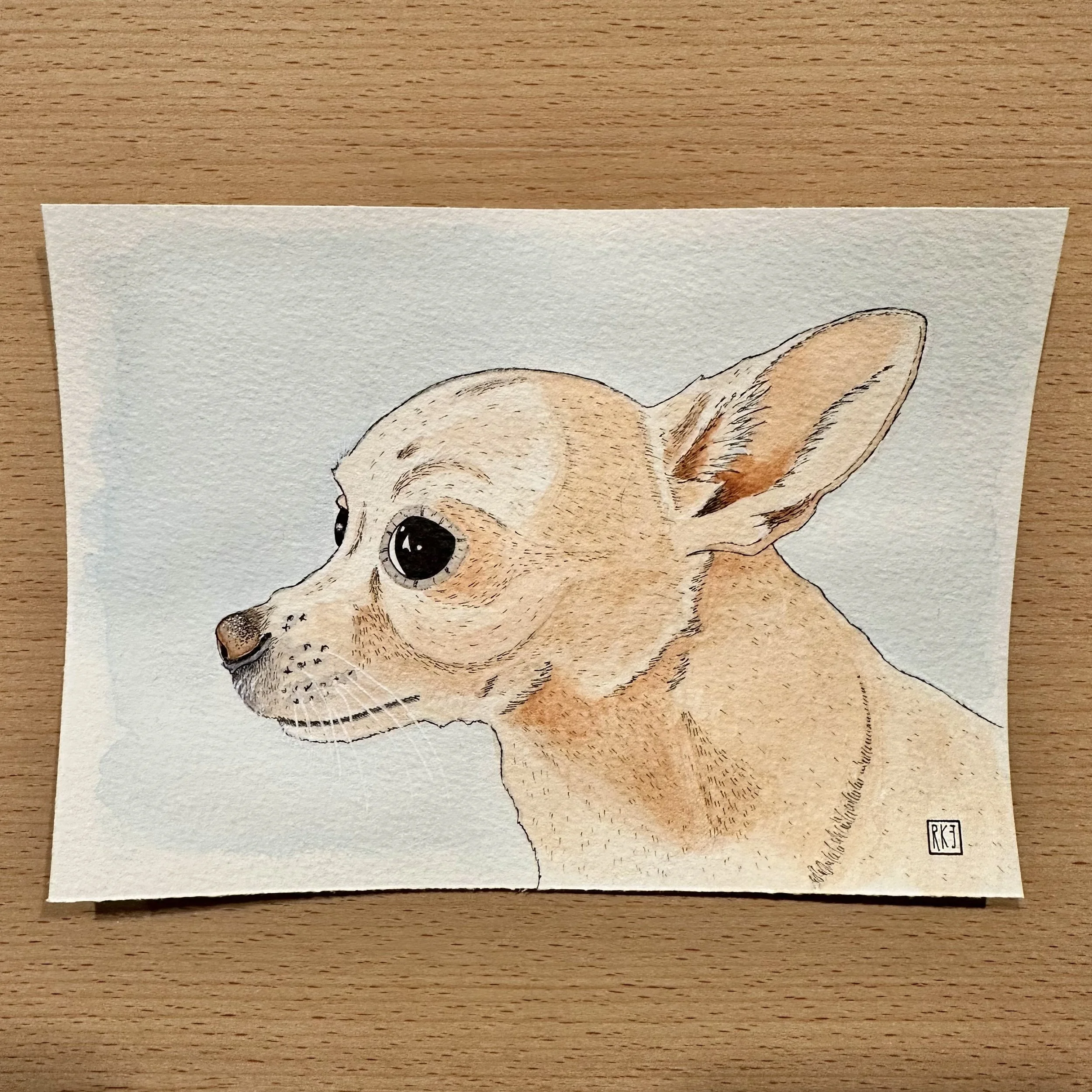 Leia - A Pup Portrait