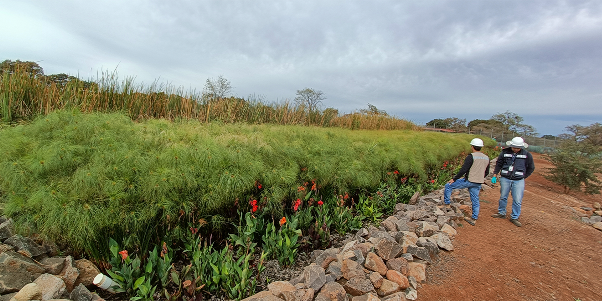 Two workers wearing white safety helmets and vests examine a landscaped area with flowering plants, rocks, and tall grass, in an outdoor setting under cloudy skies.