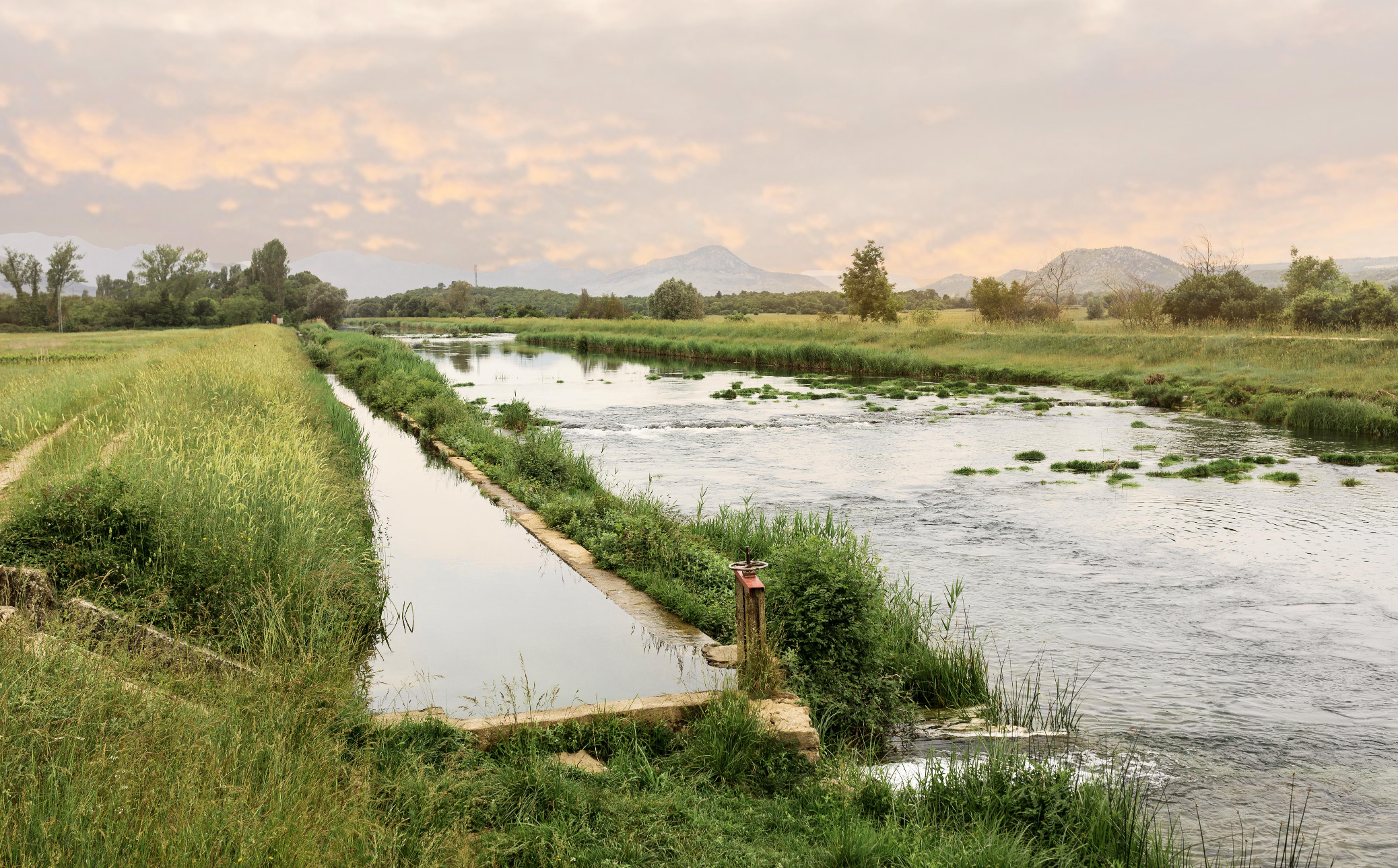 A scenic view of a river with lush green banks, a small irrigation canal in the foreground, and trees, hills, and mountains in the background during sunset.