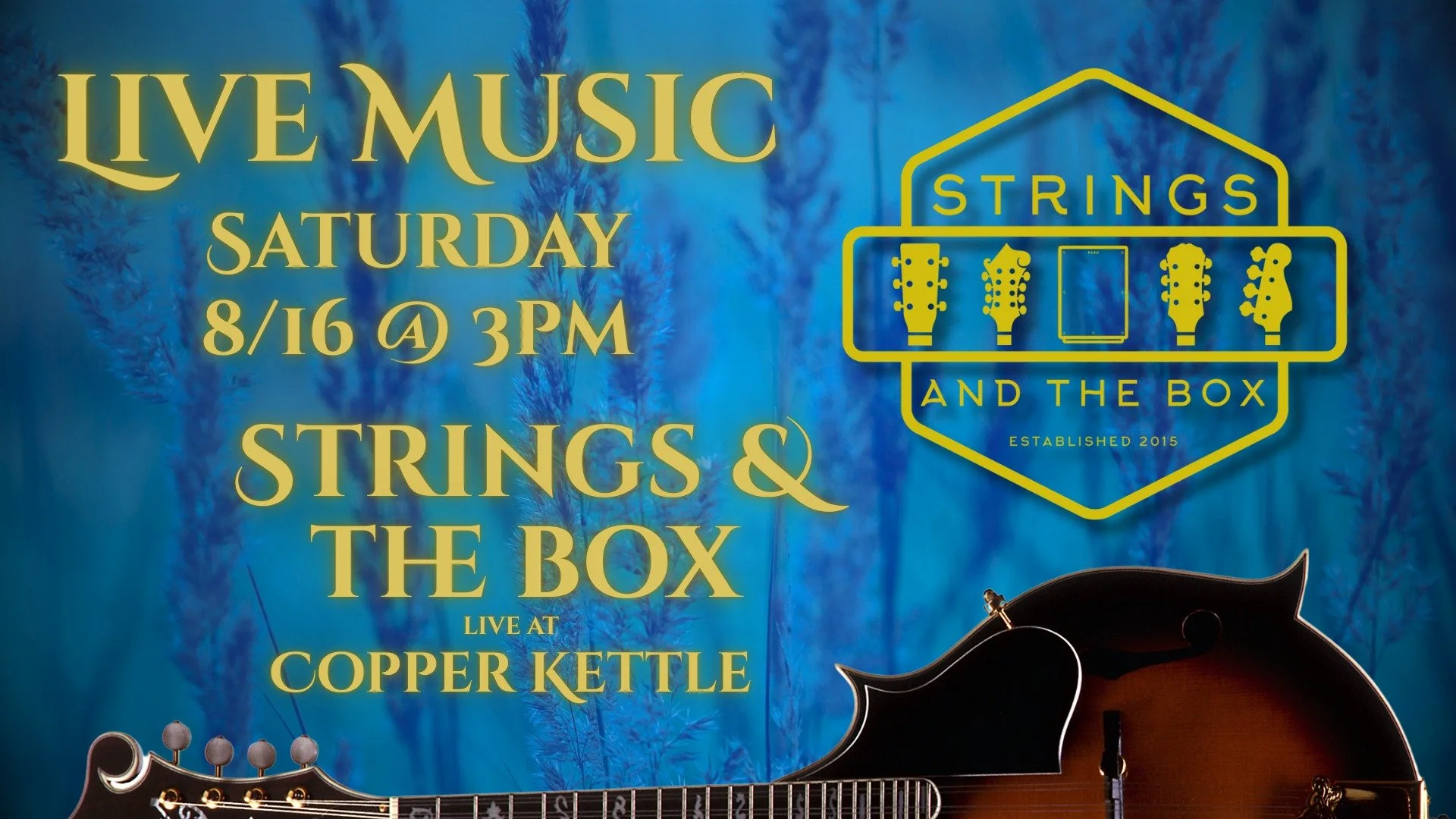 Strings and The Box Live at Copper Kettle Brewing Company