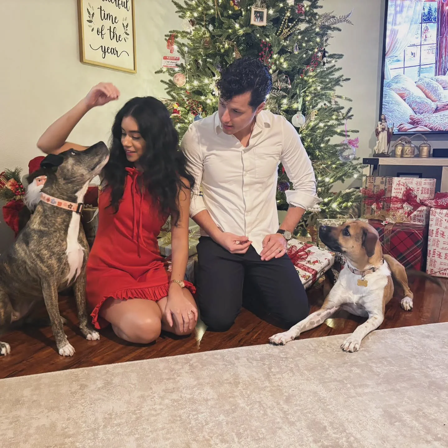 Virtual Christmas card from our family to yours! 

"For to us a Child is born, to us a Son is given; and the government shall be upon His shoulder, and His name shall be called Wonderful Counselor, Mighty God, Everlasting Father, Prince of Peace