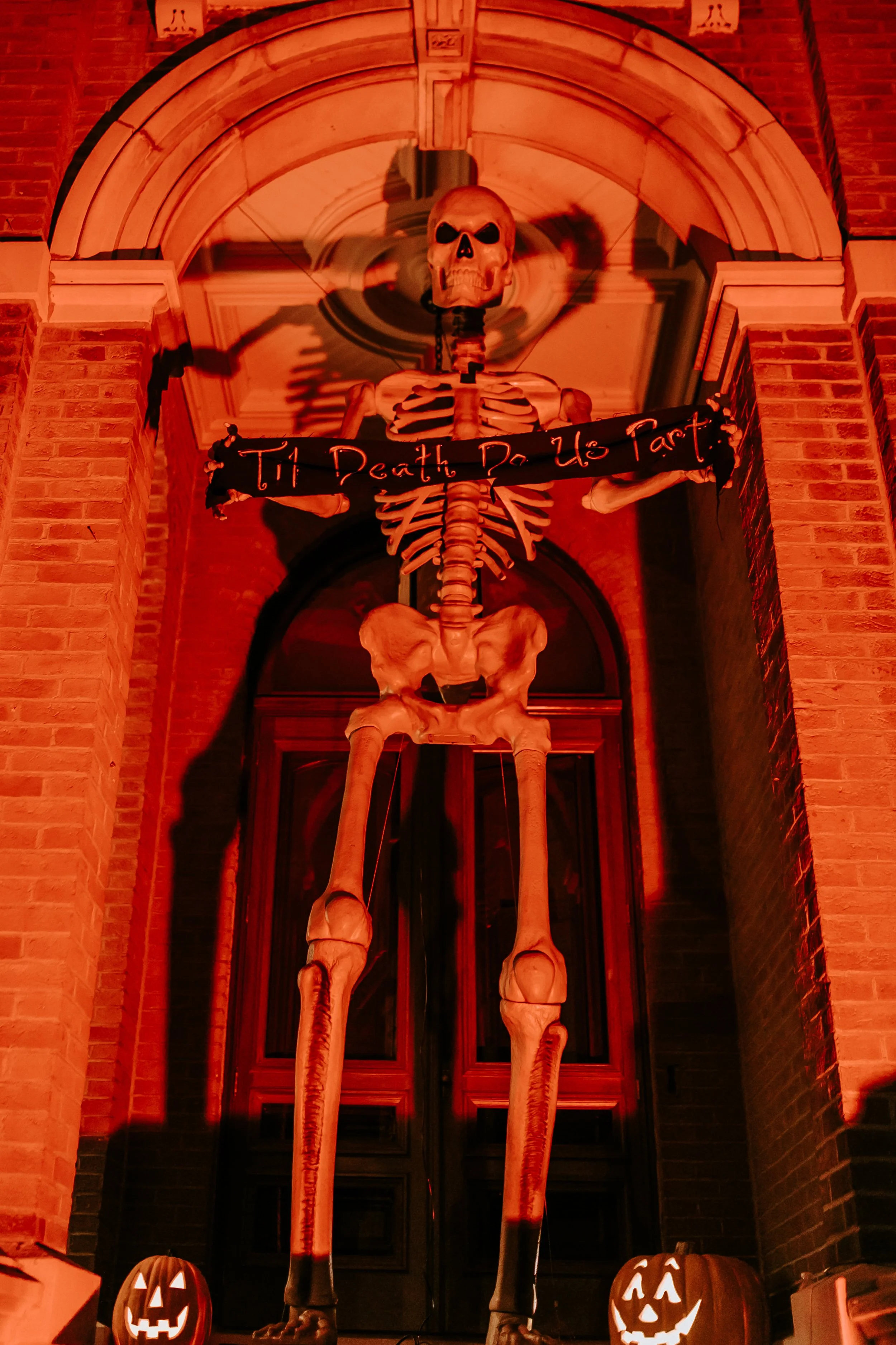 HEVV-web-2.jpg