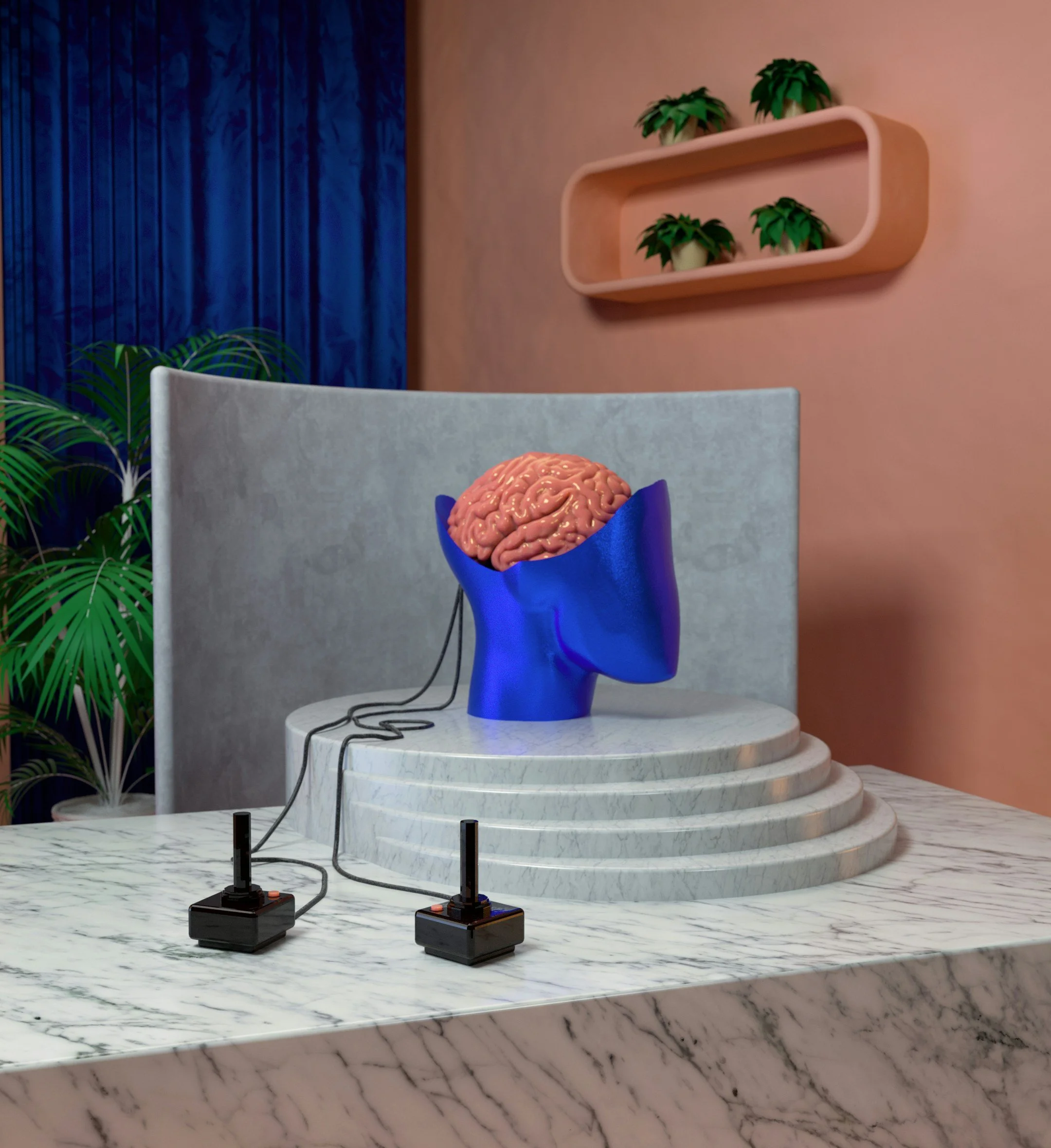 The Brain: Understanding Executive Function from a Holistic Perspective