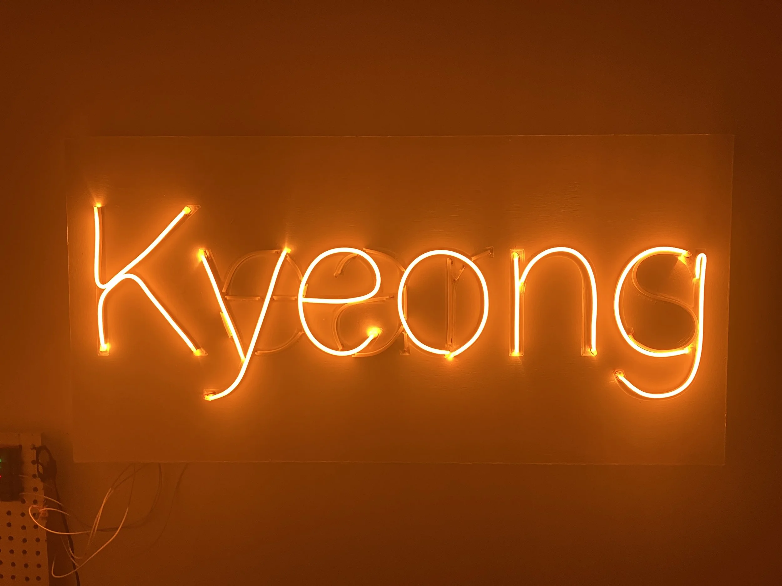 "adoption story", 2' x 4', 2025, led on panel