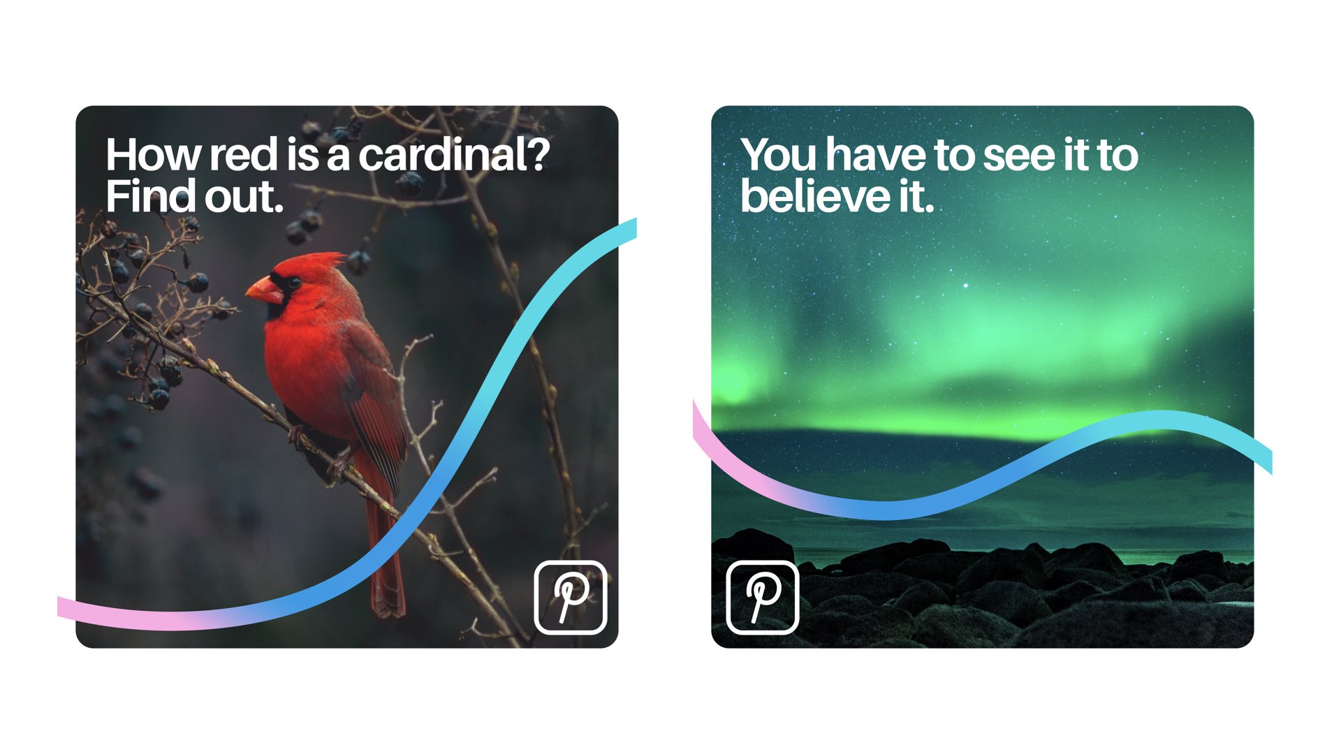 Pinterest_Rebrand_Final.007.jpeg