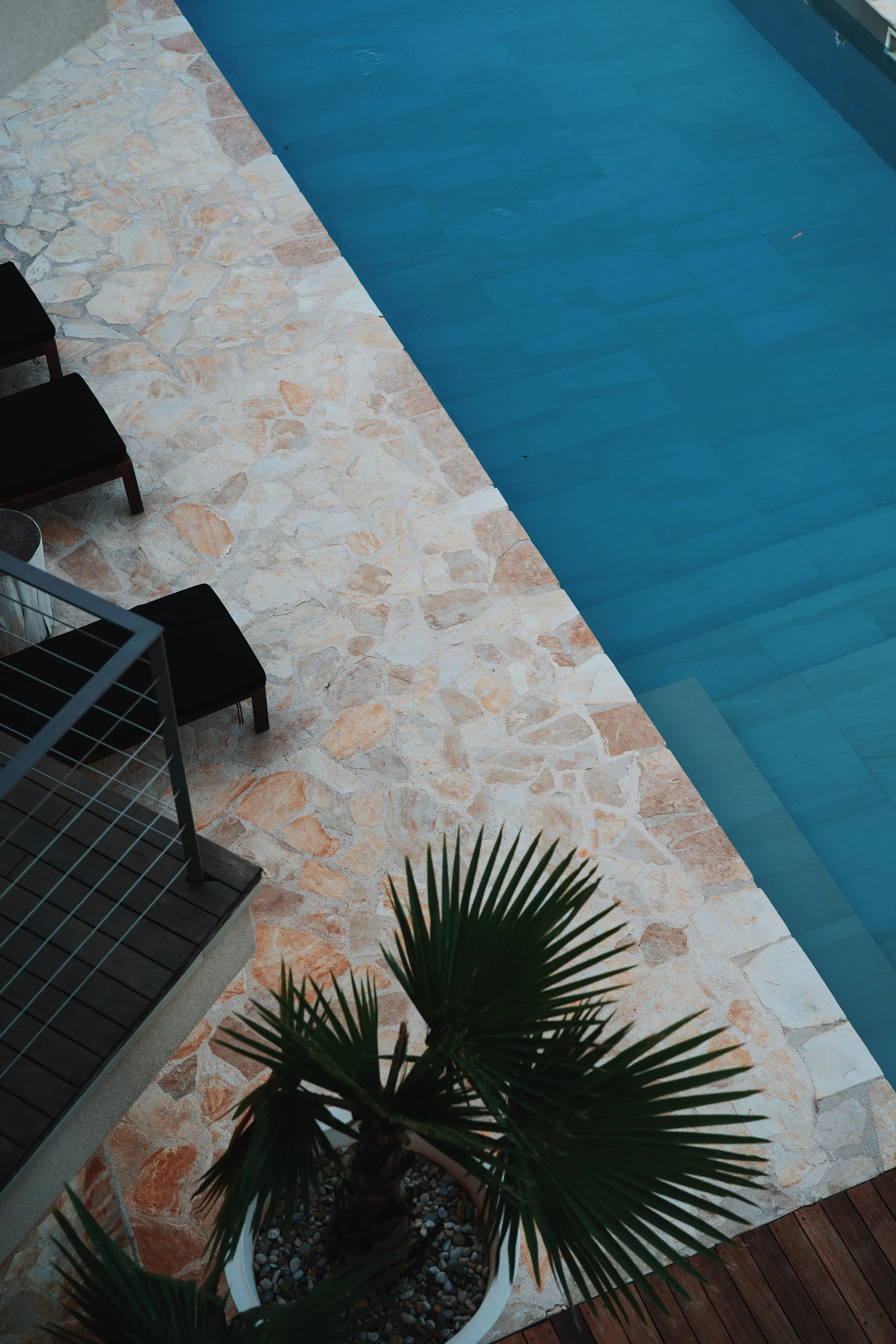 2019-06-15 05.43.21 1_Original.jpg