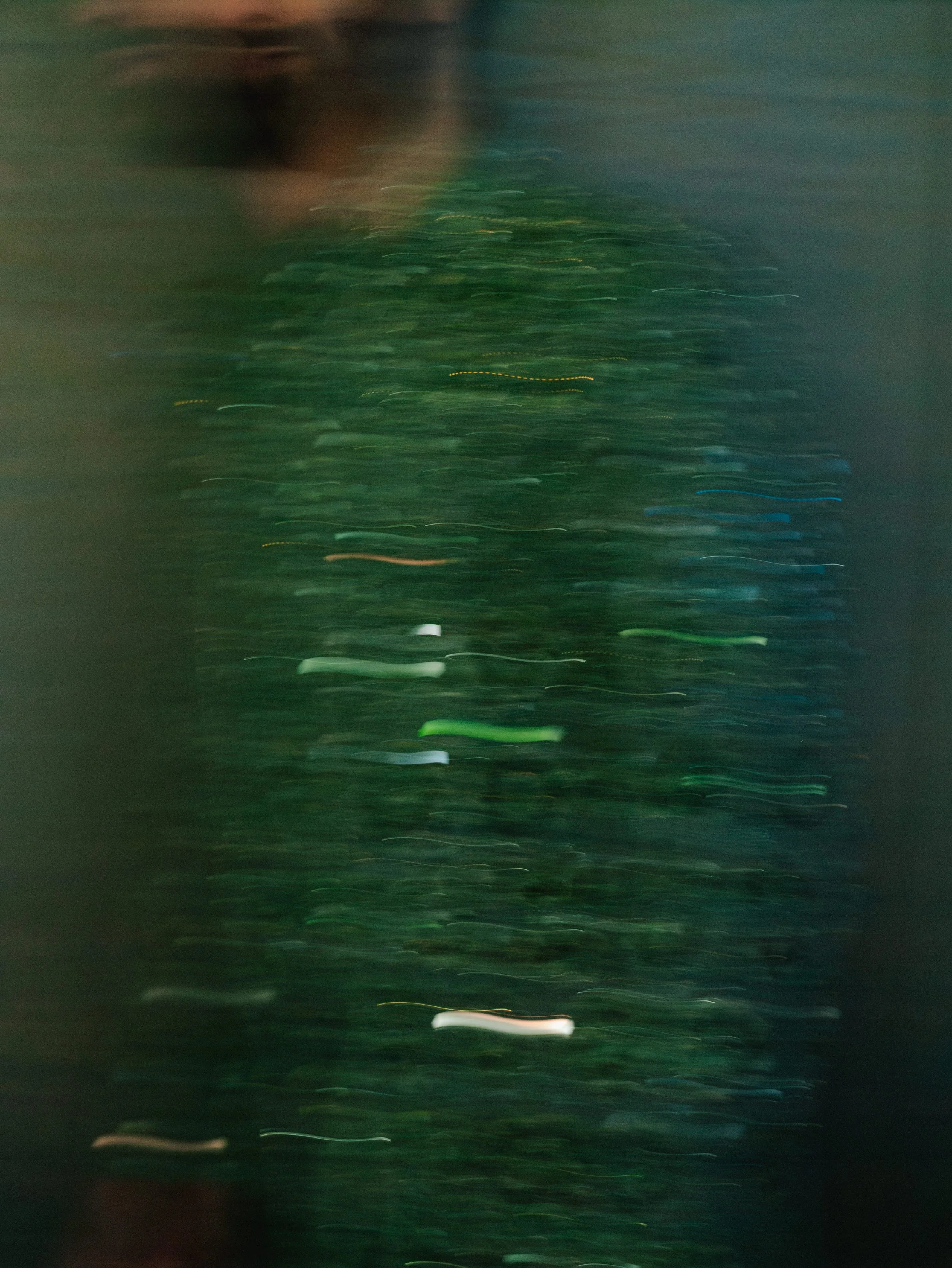 Joel&Justyna faves-21.jpg