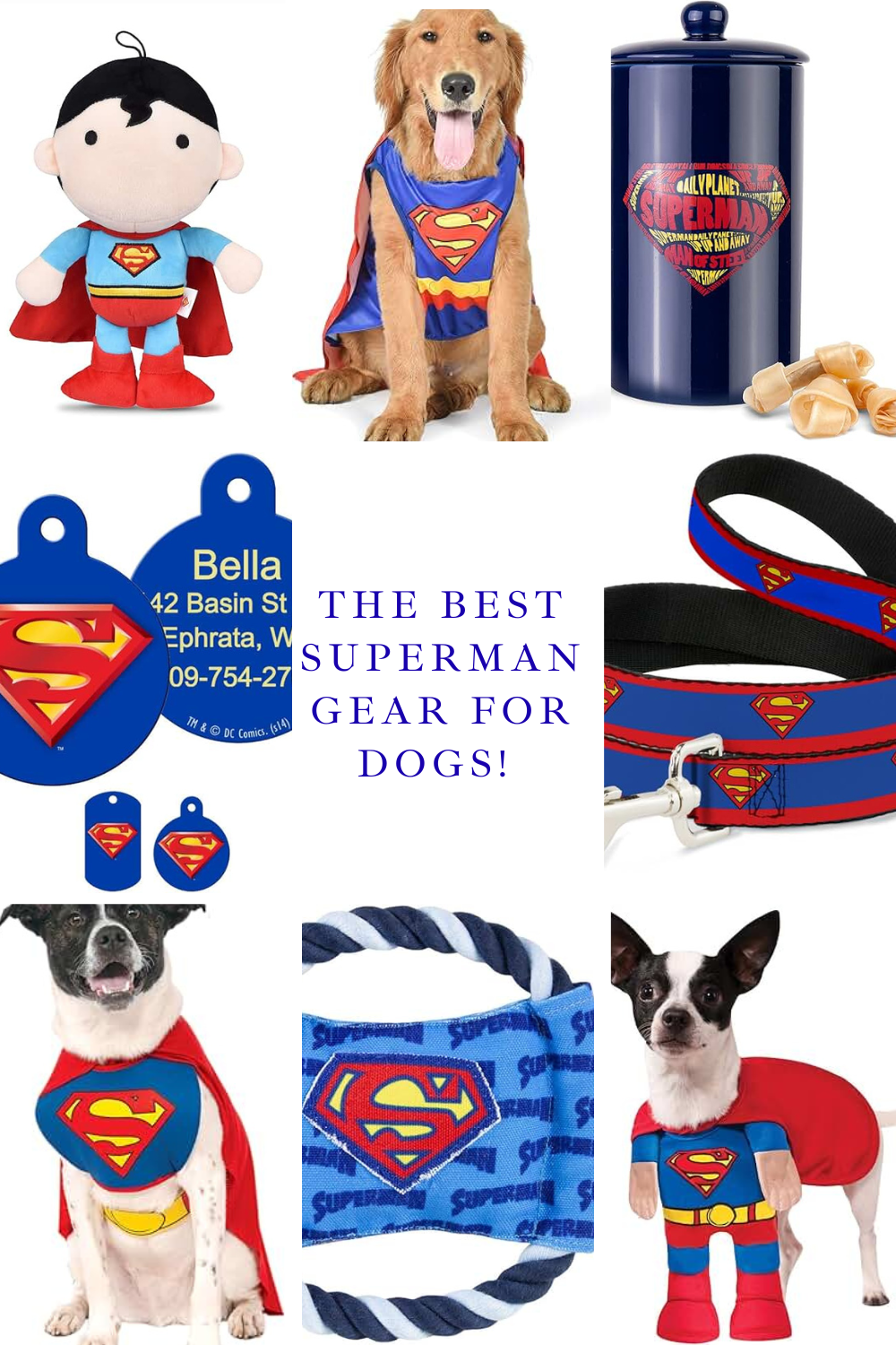 Greatest Superman Gear for Your Dogs!