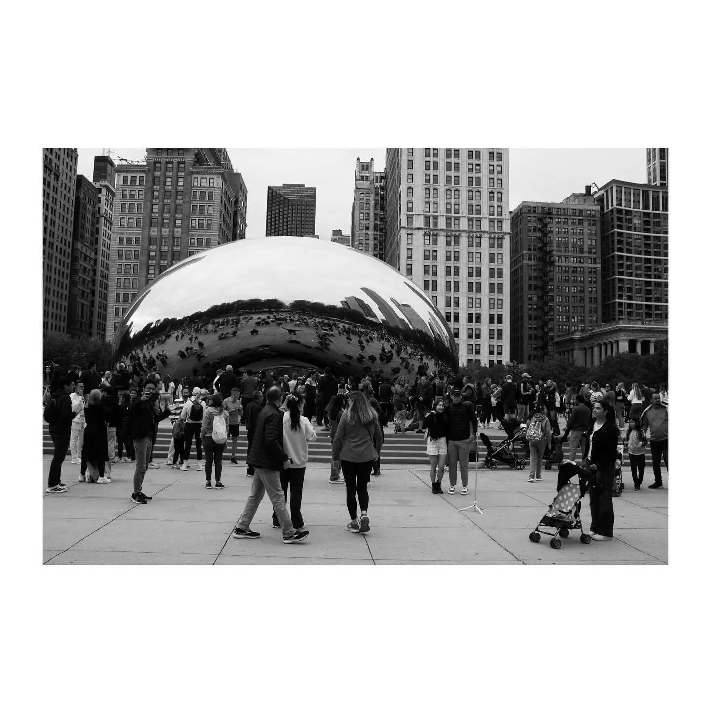 chicago streets &amp; buildings
october 2025