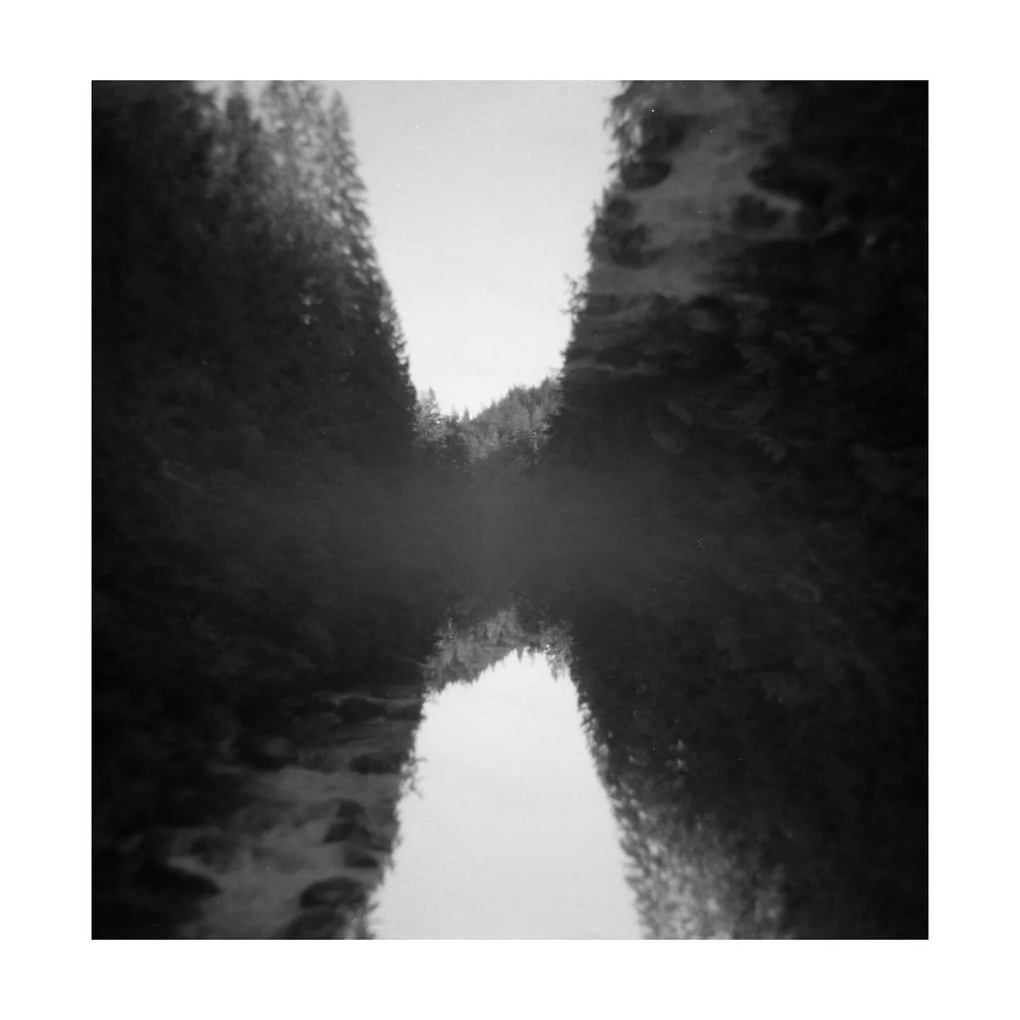 holga on ilford hp5 120
pentax k1000 on ilford hp5 35mm
pentax k1000 on kodak tx 400