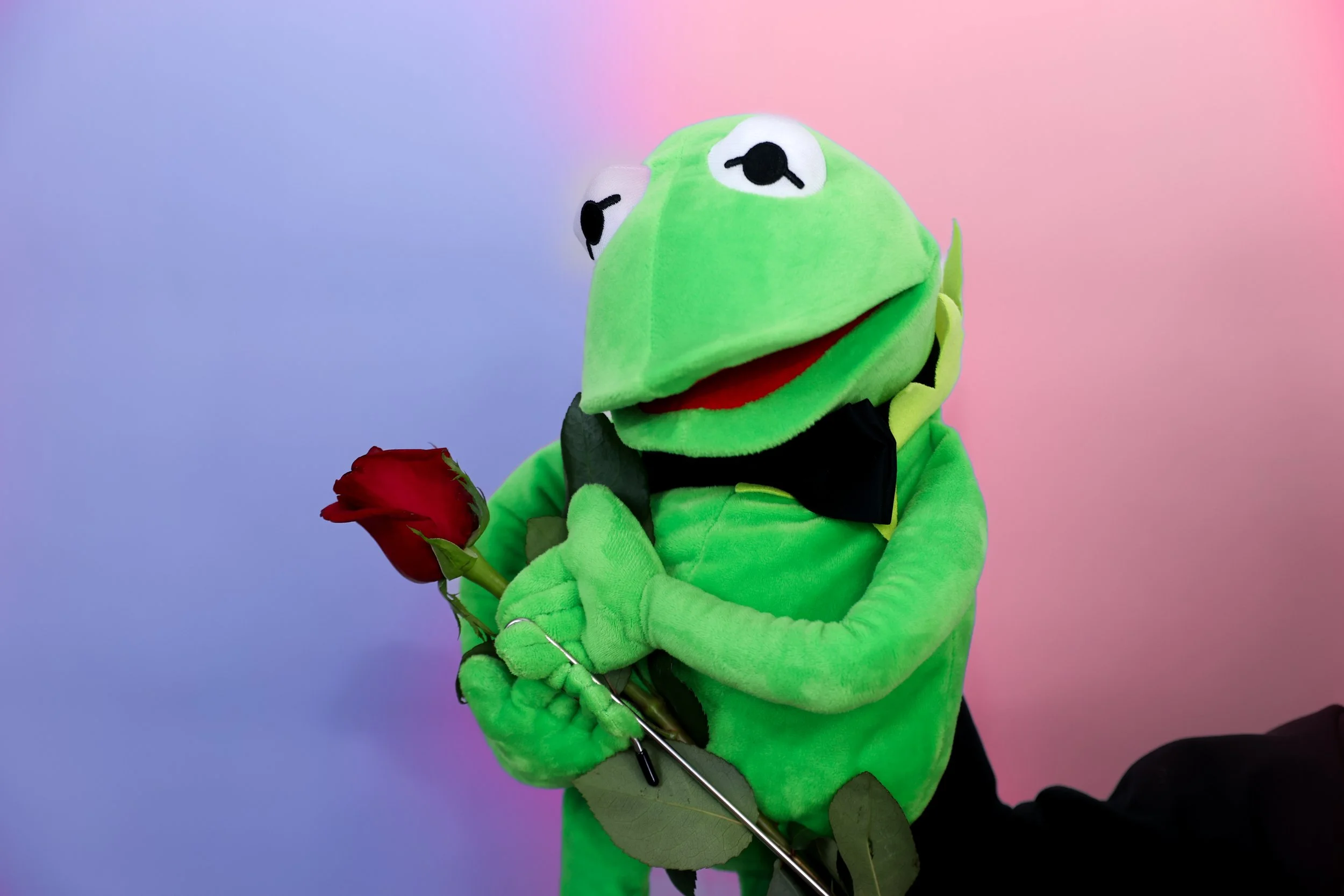 butchprom_kermit_trt-092.jpg