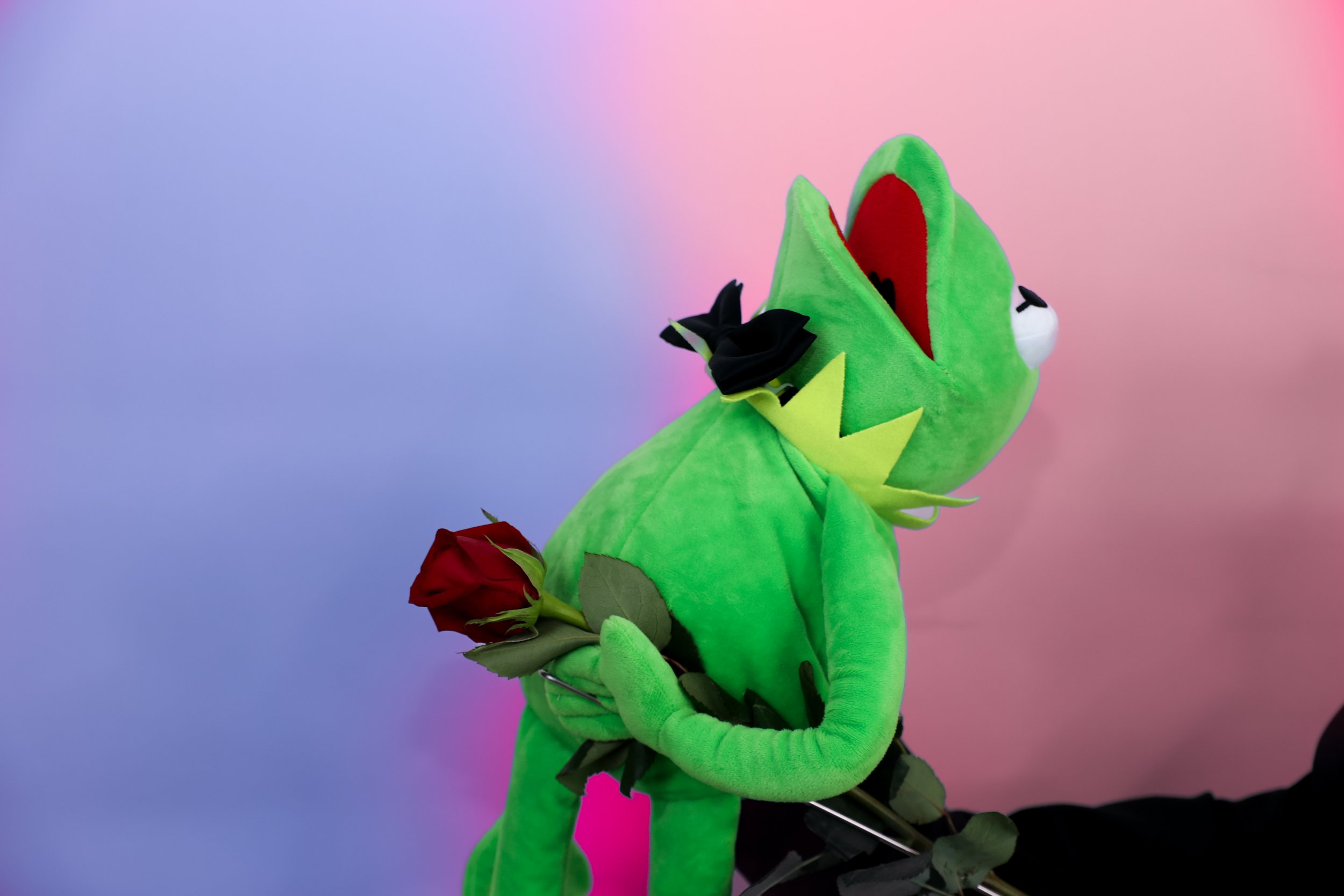 butchprom_kermit_trt-085.jpg