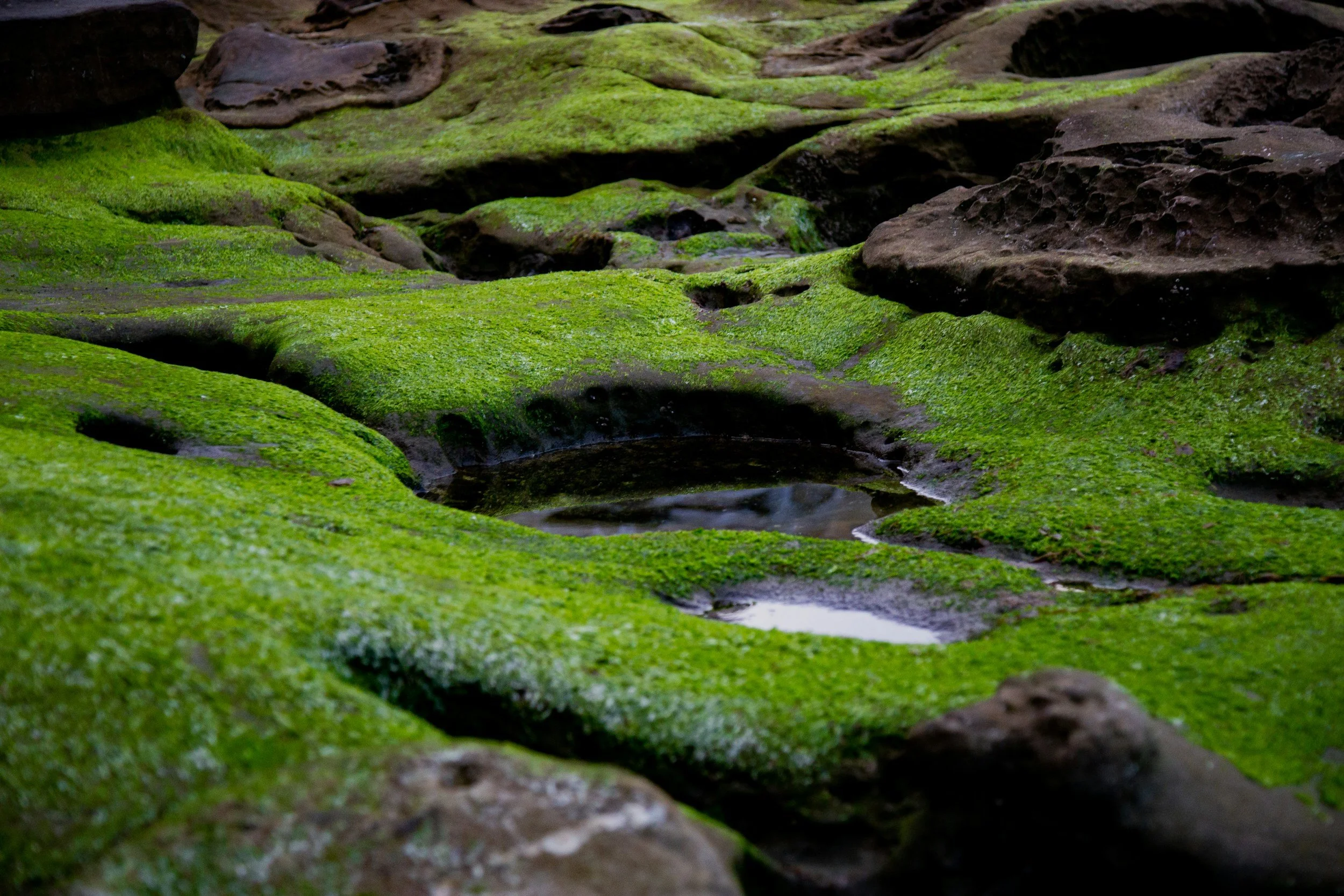 unsplash-image-i9U4txfJY6k.jpg