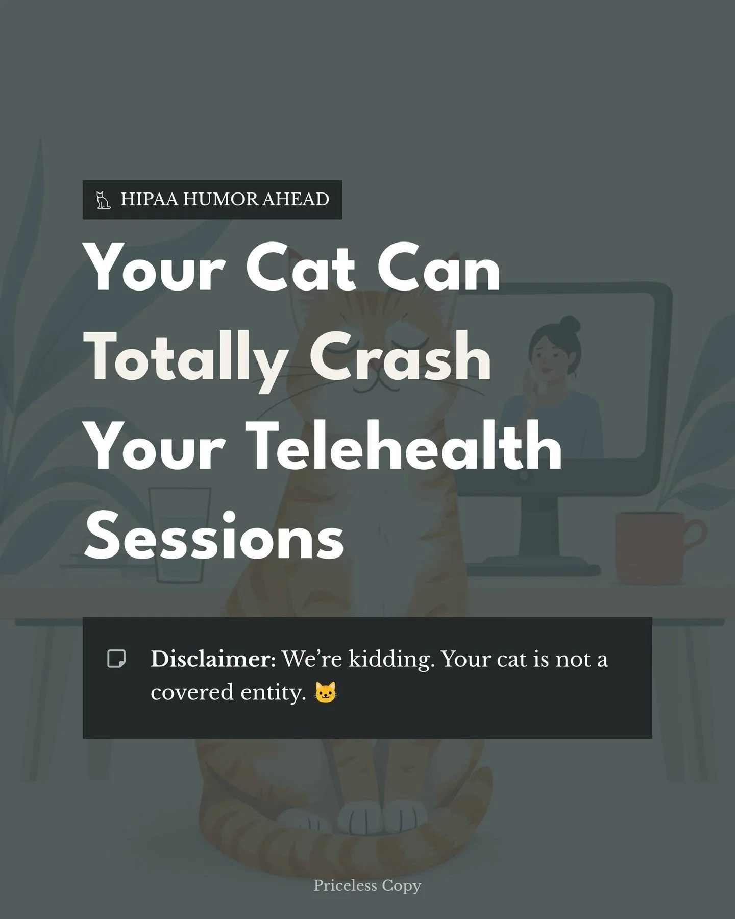 Here's a plot twist for your Monday: HIPAA has zero opinions about Fluffy photobombing your 3pm session. (This post is a joke. HIPAA humor ahead.) 

That's right, while the regulations are super specific about encrypting PHI and securing your WiFi, t