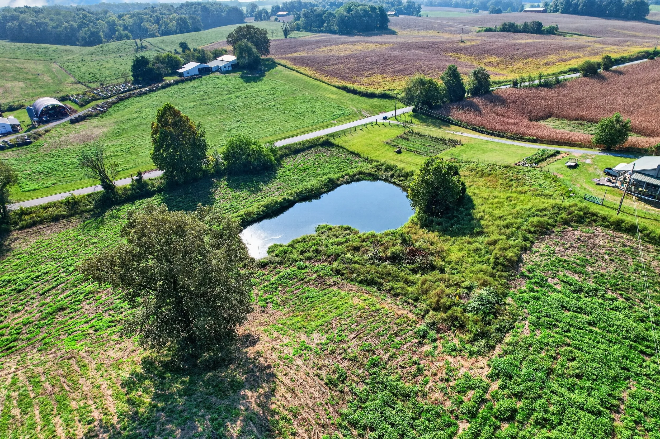 DJI_0158.jpg