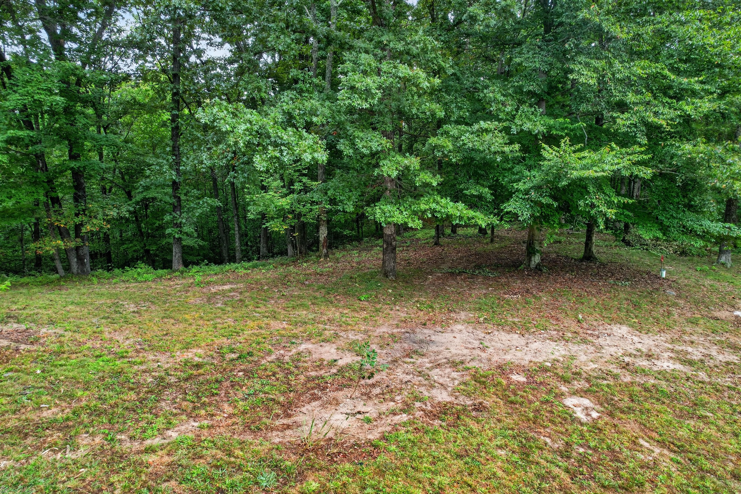 DJI_0226.jpg