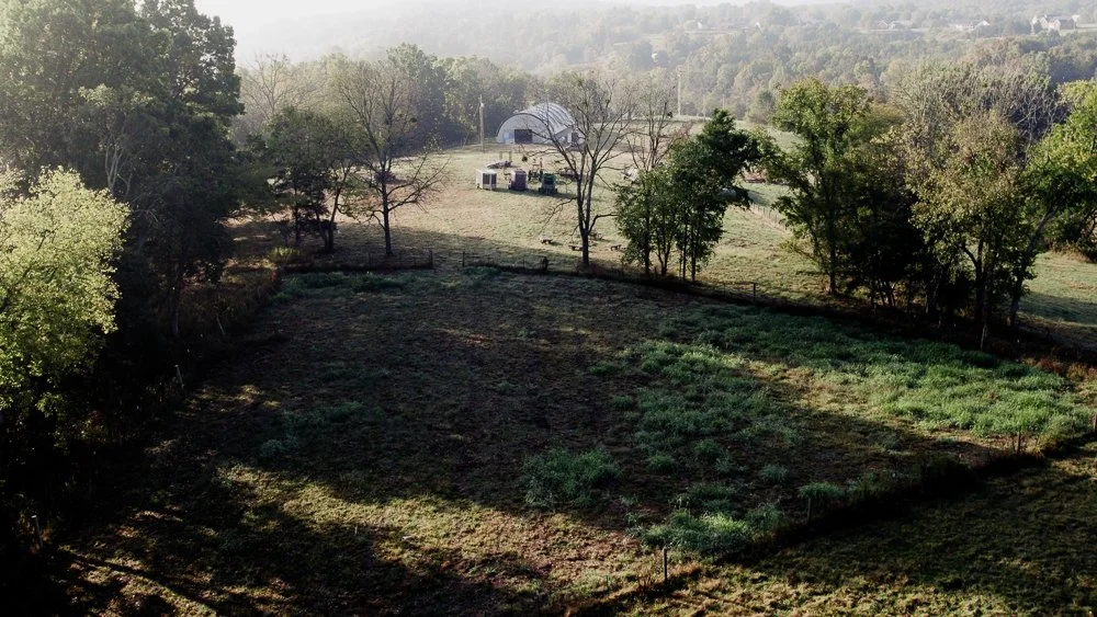 A16A1035.00_00_26_08.Still009.jpg