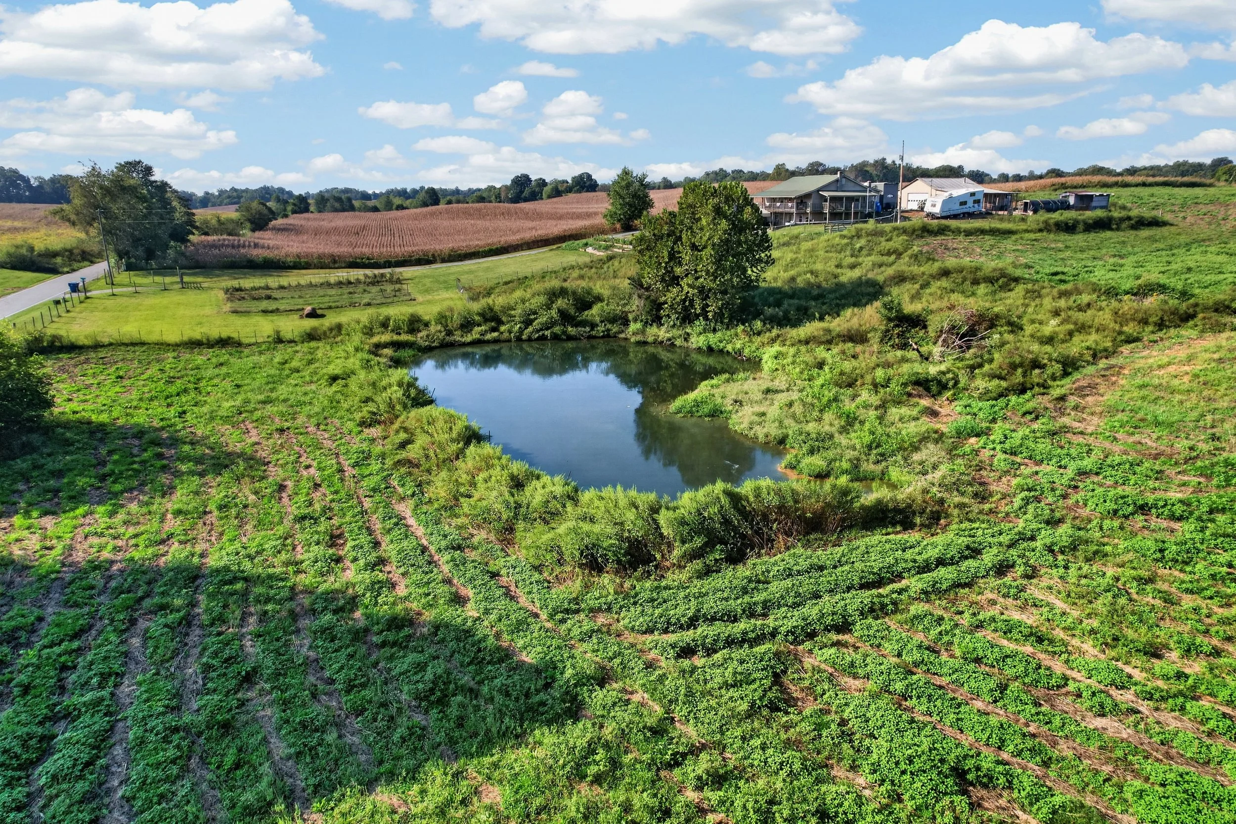 DJI_0163.jpg