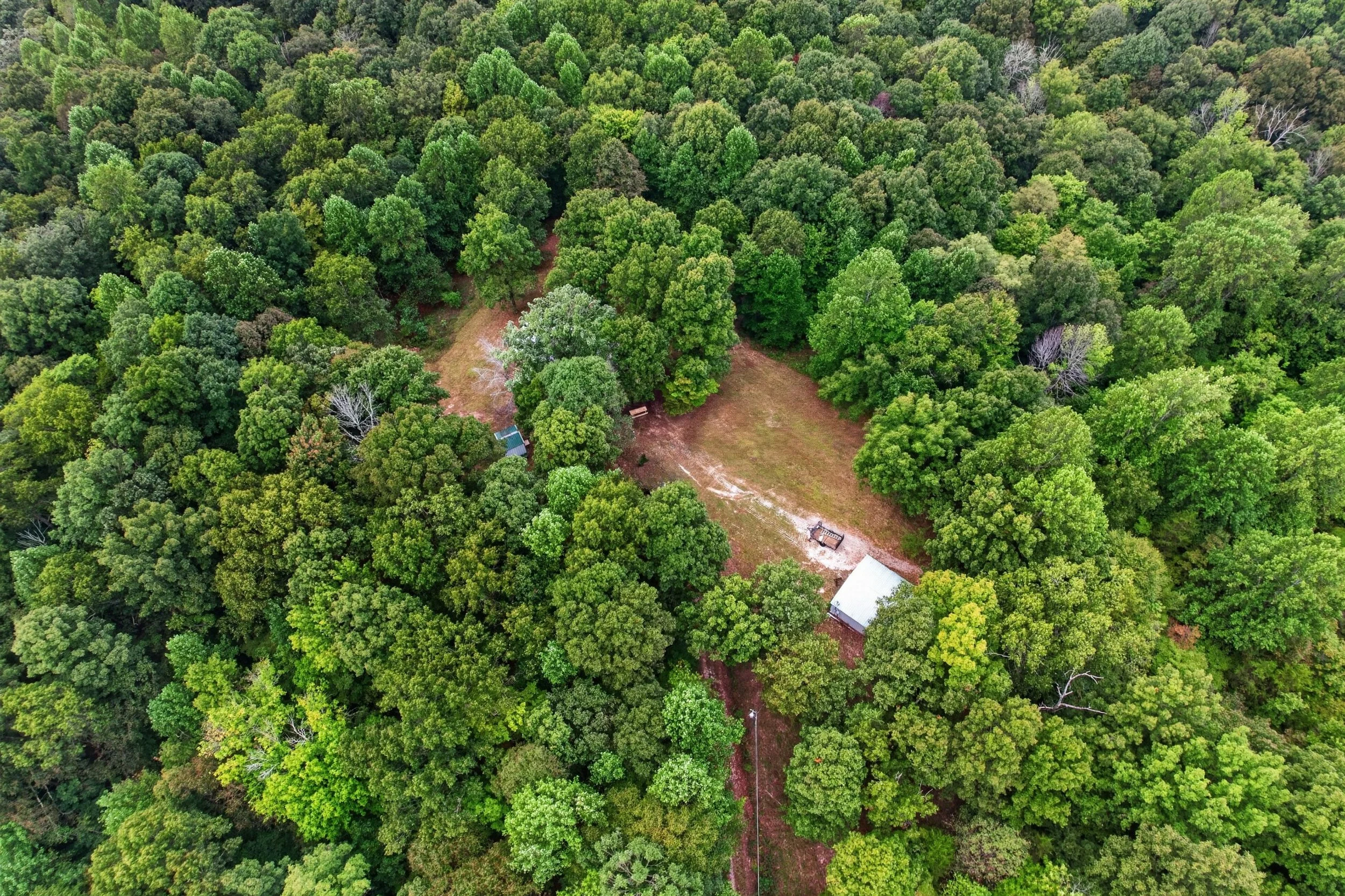 DJI_0270.jpg
