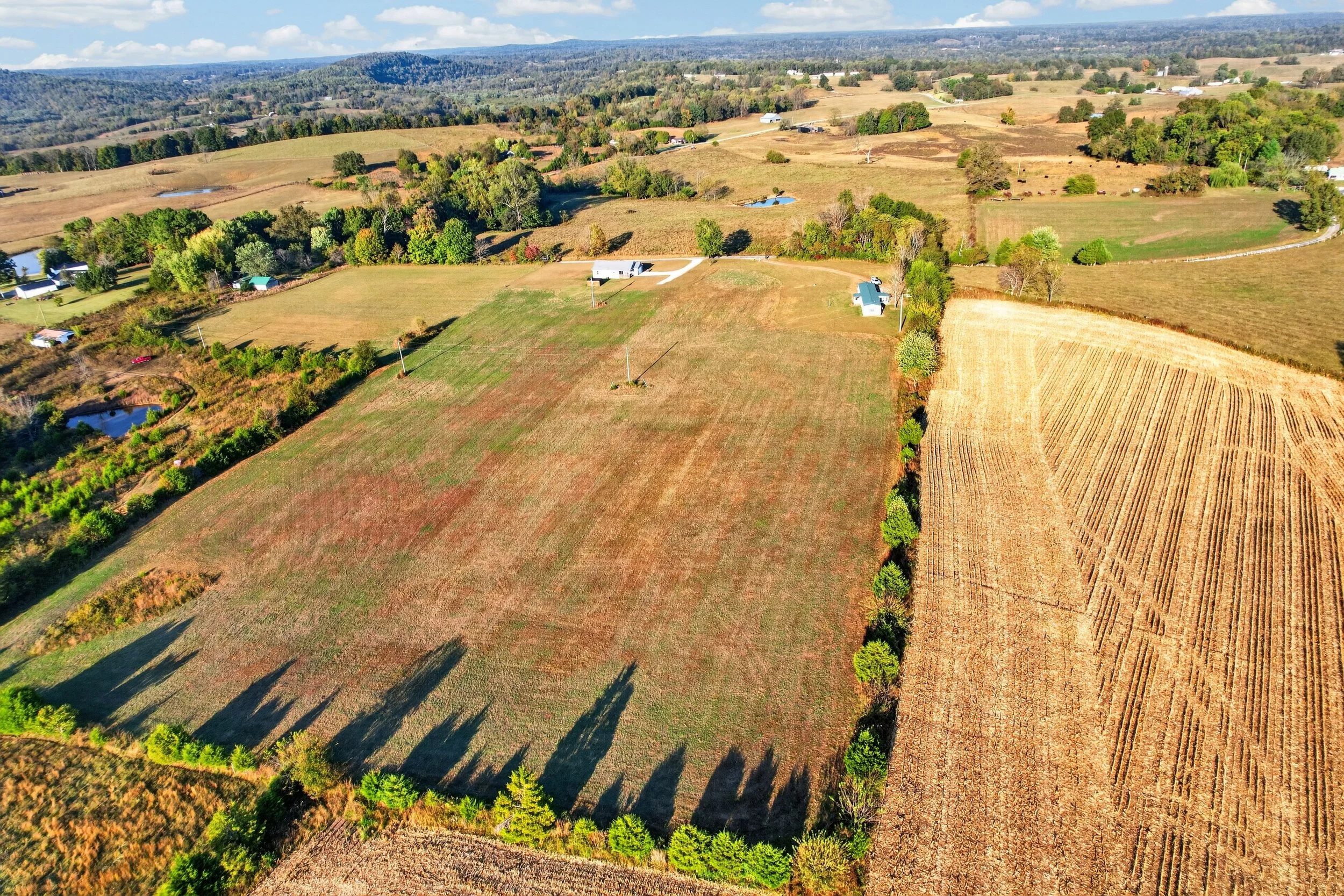 DJI_0674.jpg