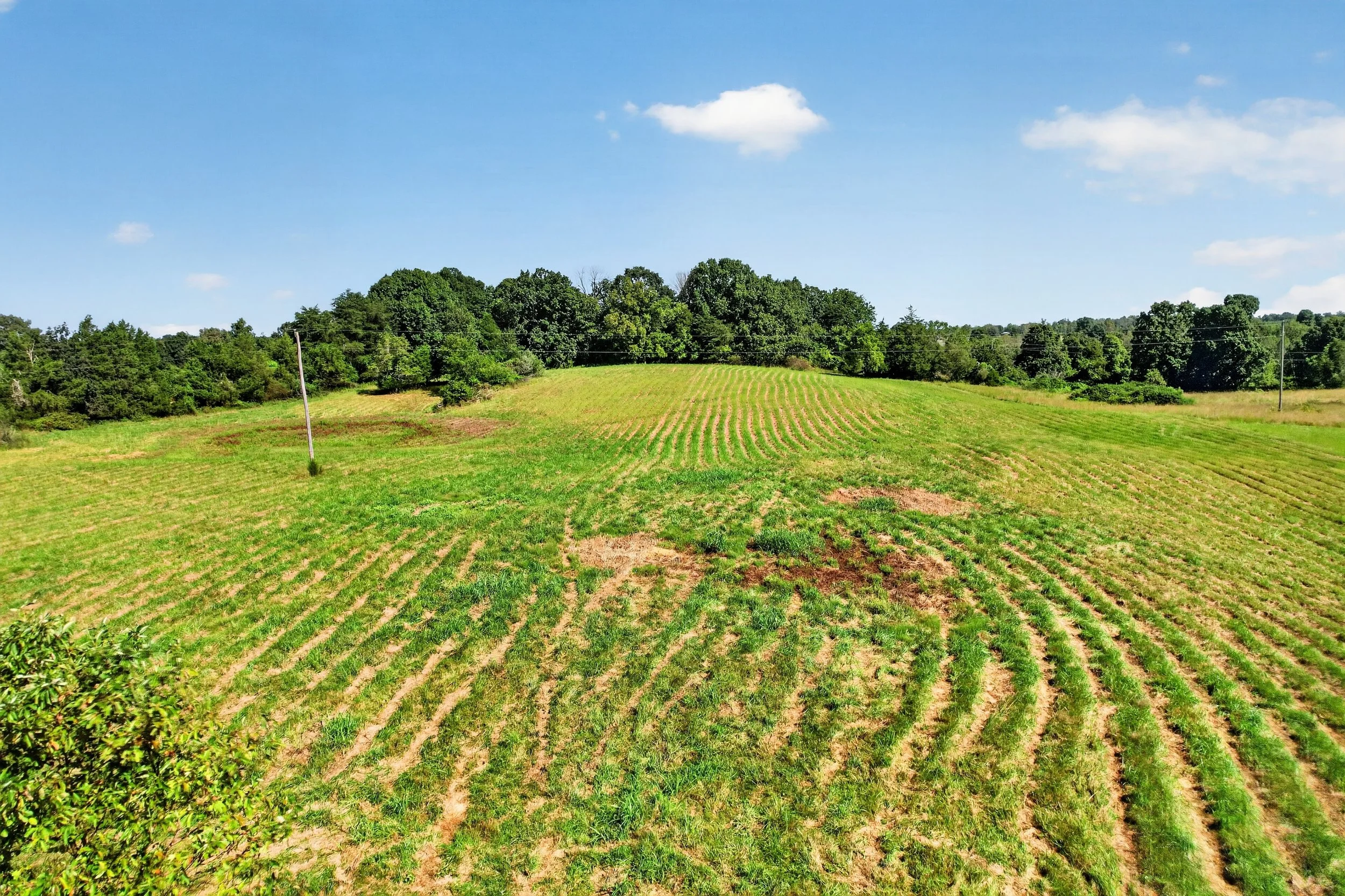 DJI_0911.jpg