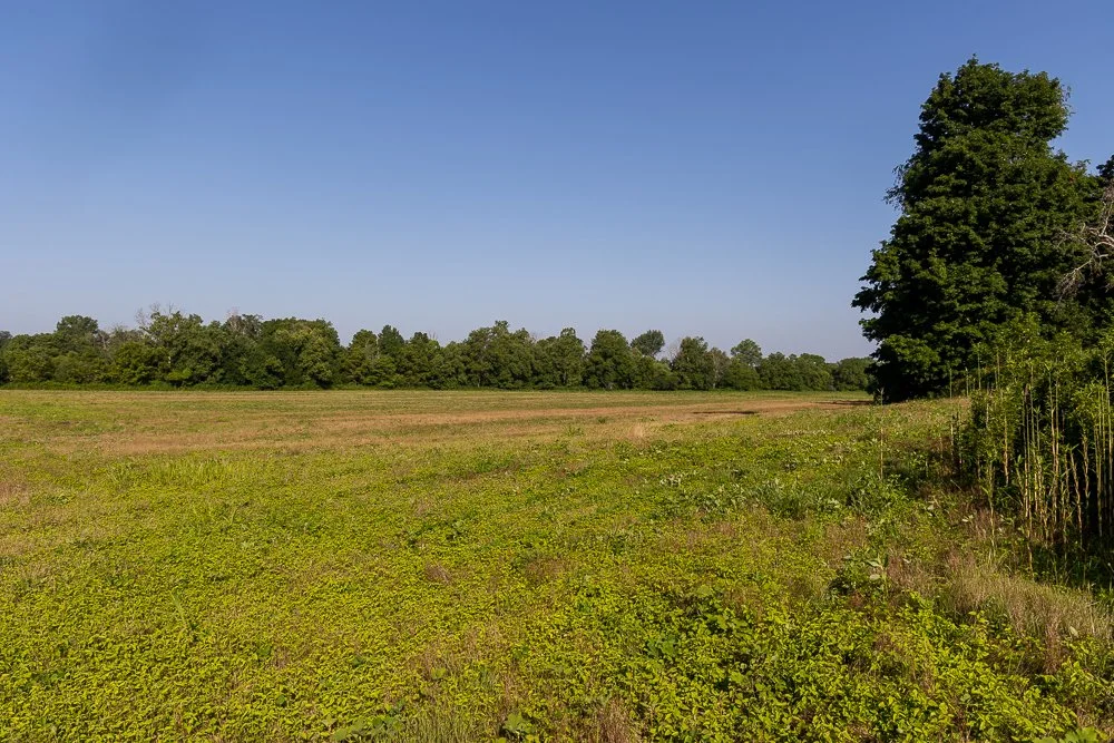 426A9617.jpg