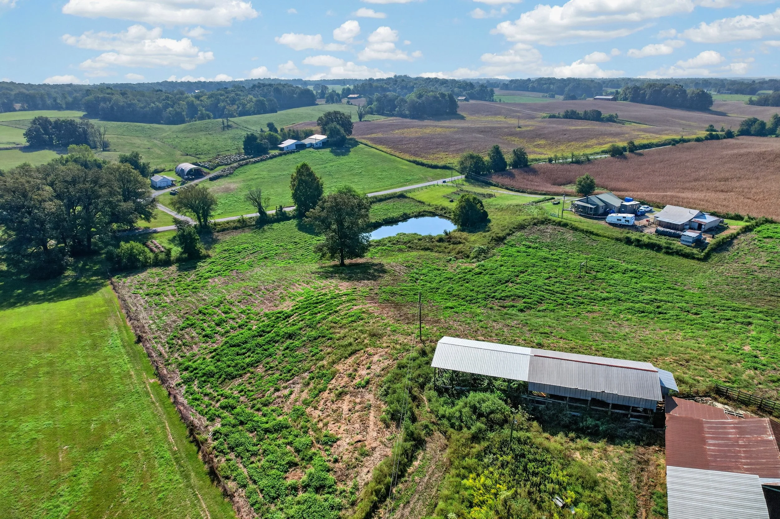 DJI_0156.jpg