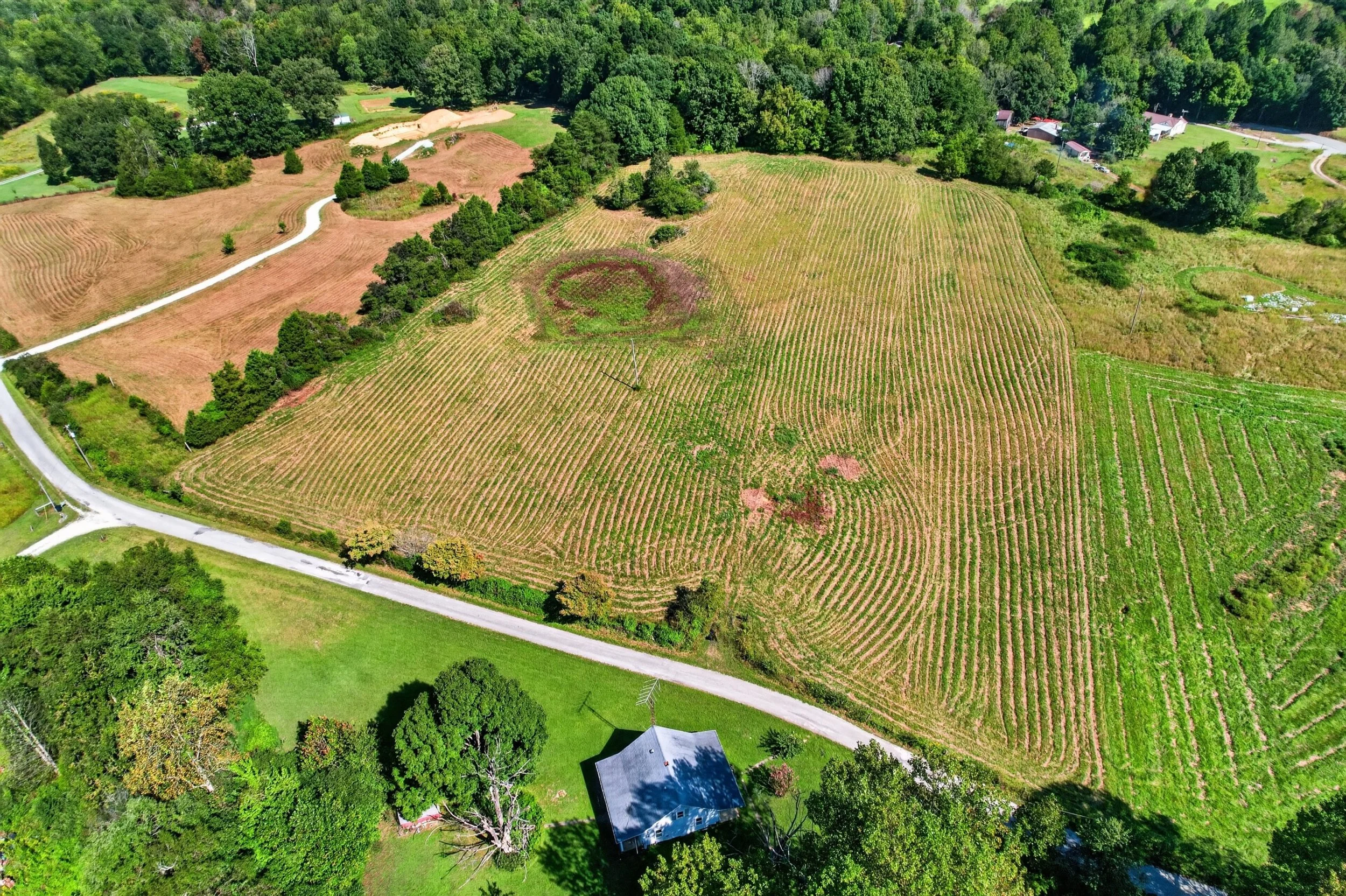 DJI_0878.jpg