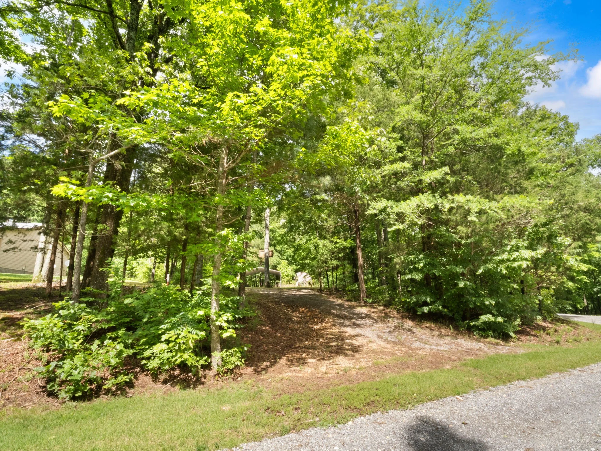 19-web-or-mls-P1025651.jpg