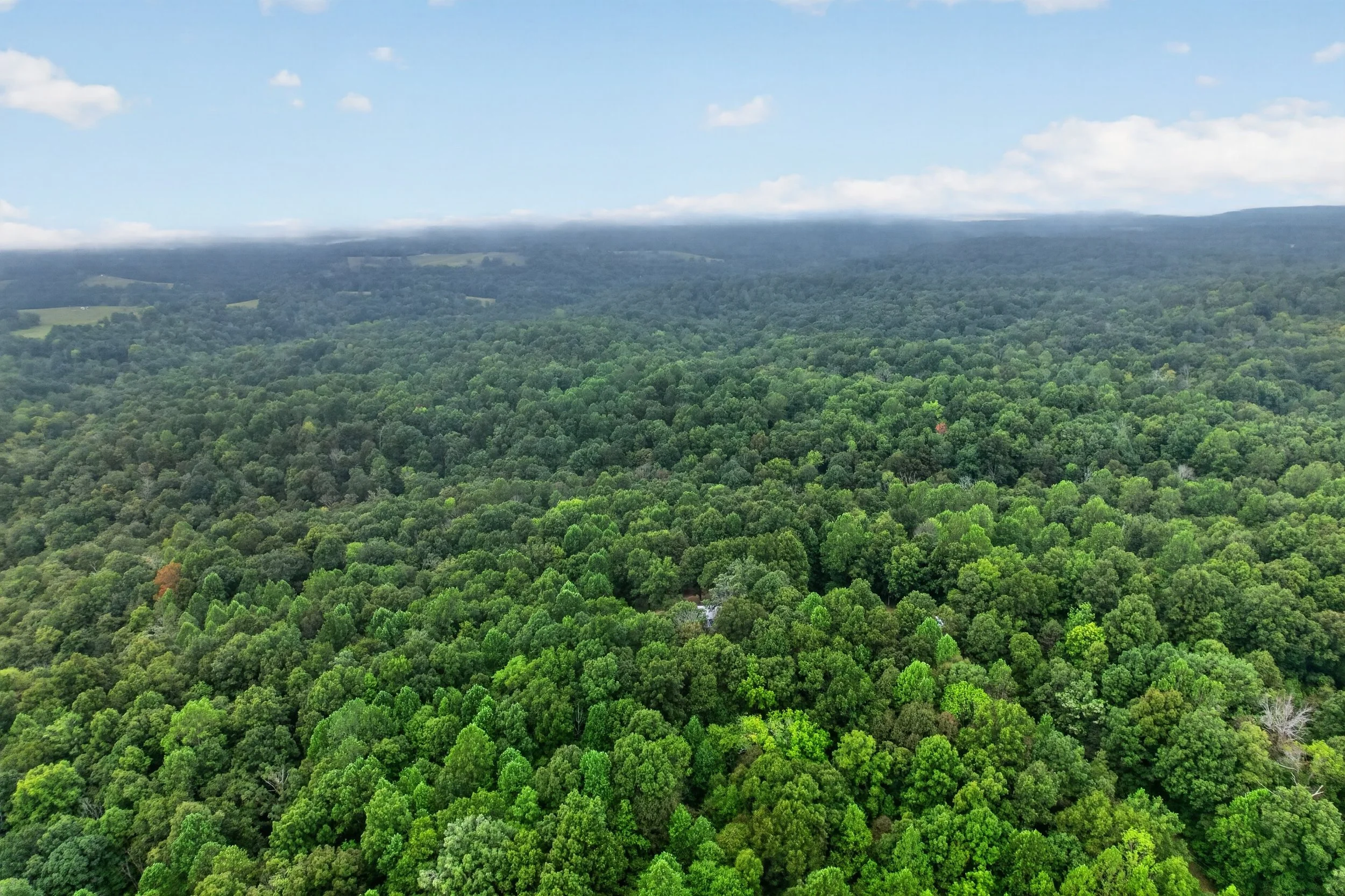 DJI_0268.jpg