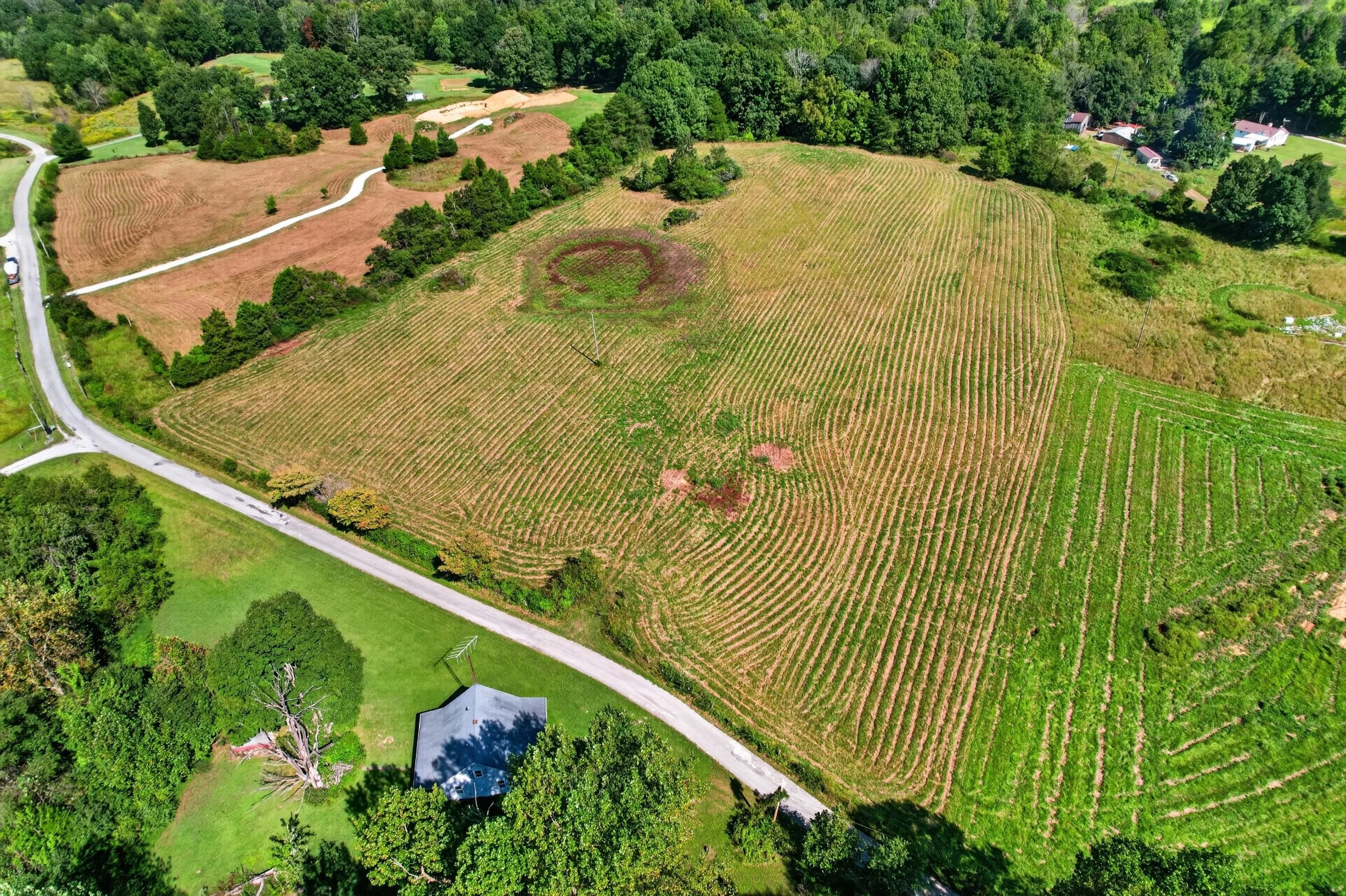 DJI_0881.jpg