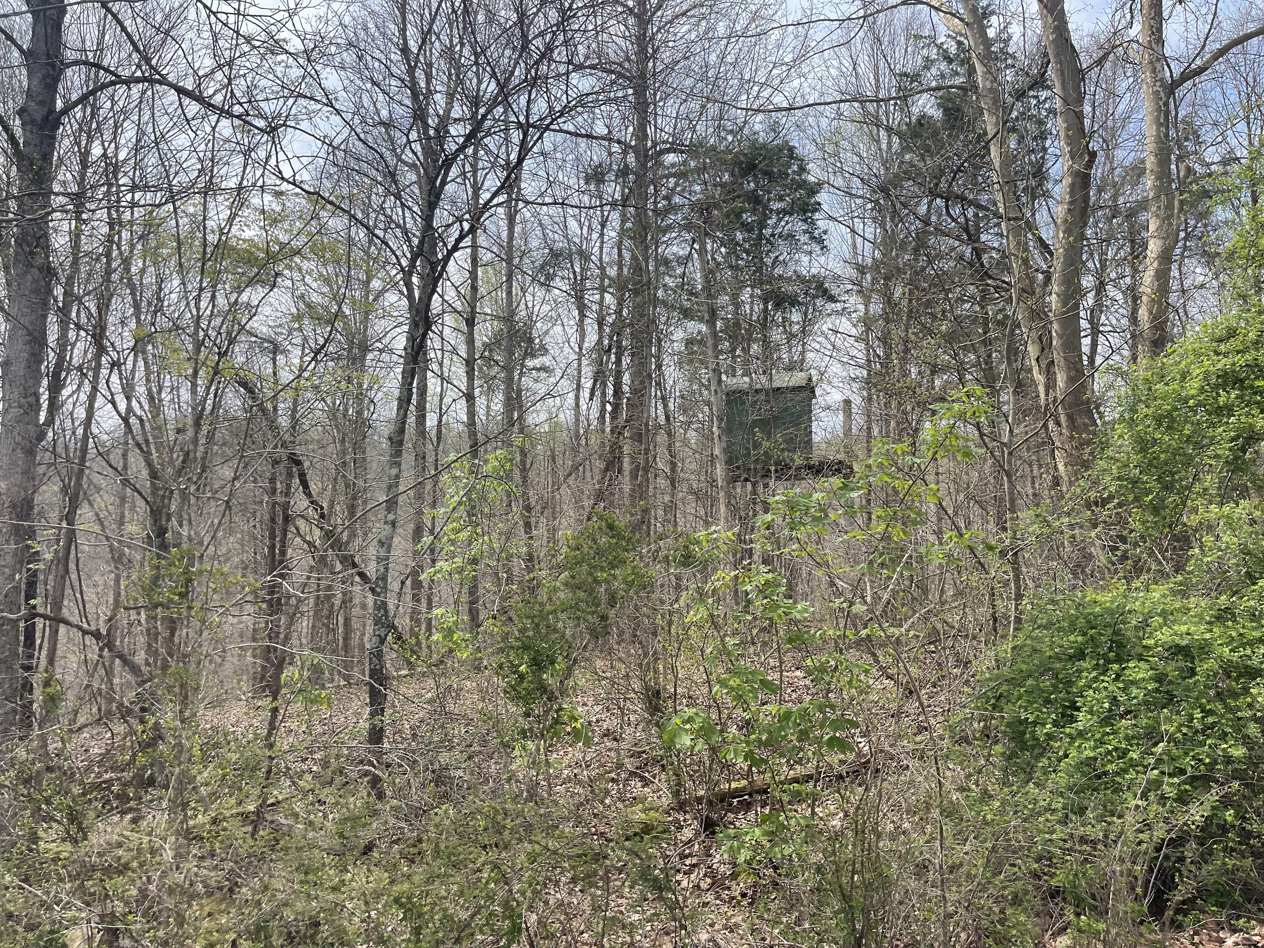 IMG_0788.jpeg