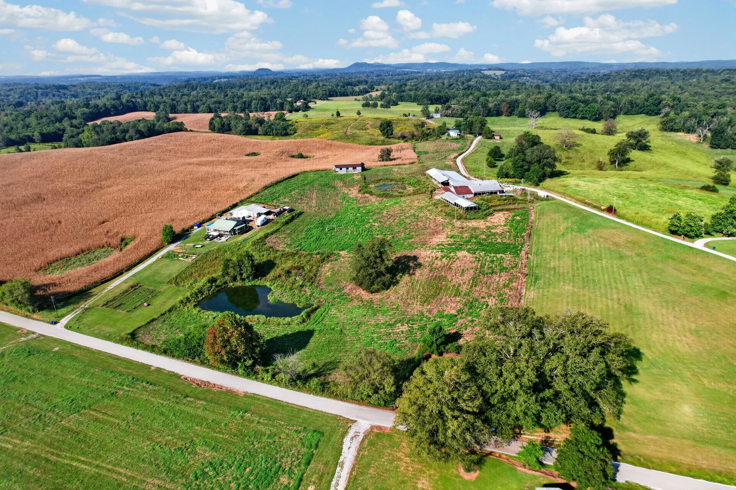 DJI_0170.jpg