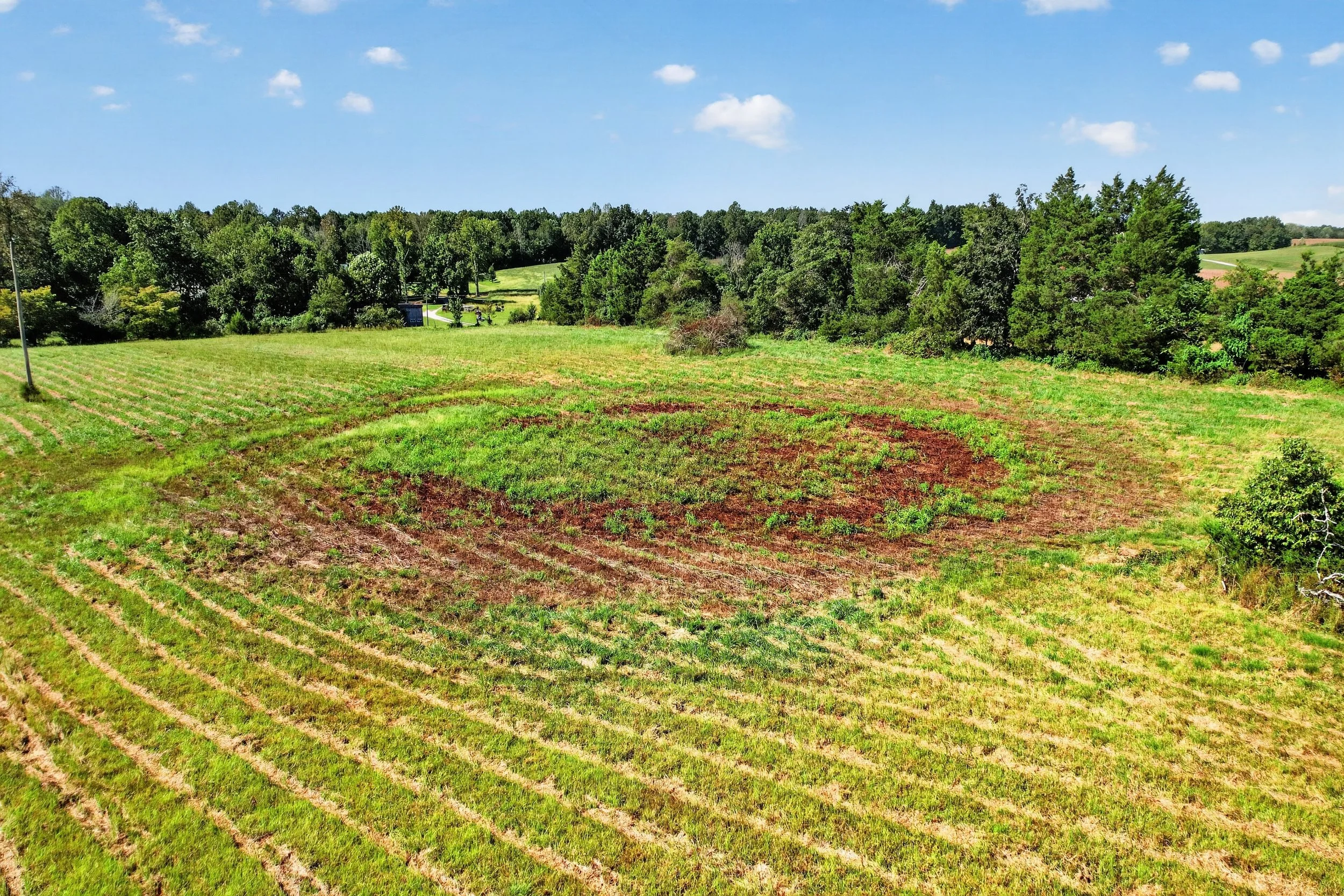 DJI_0906.jpg
