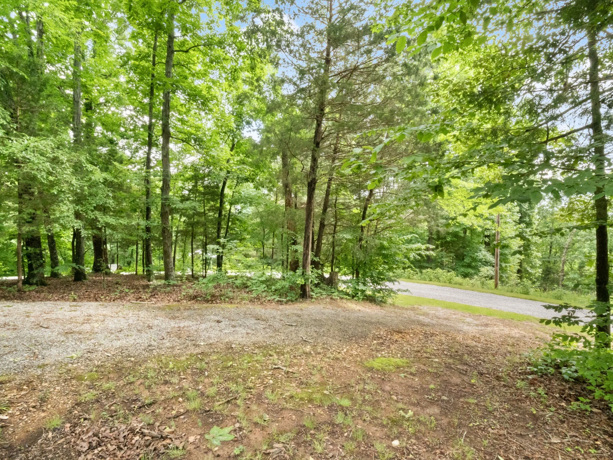 21-web-or-mls-P1025660.jpg