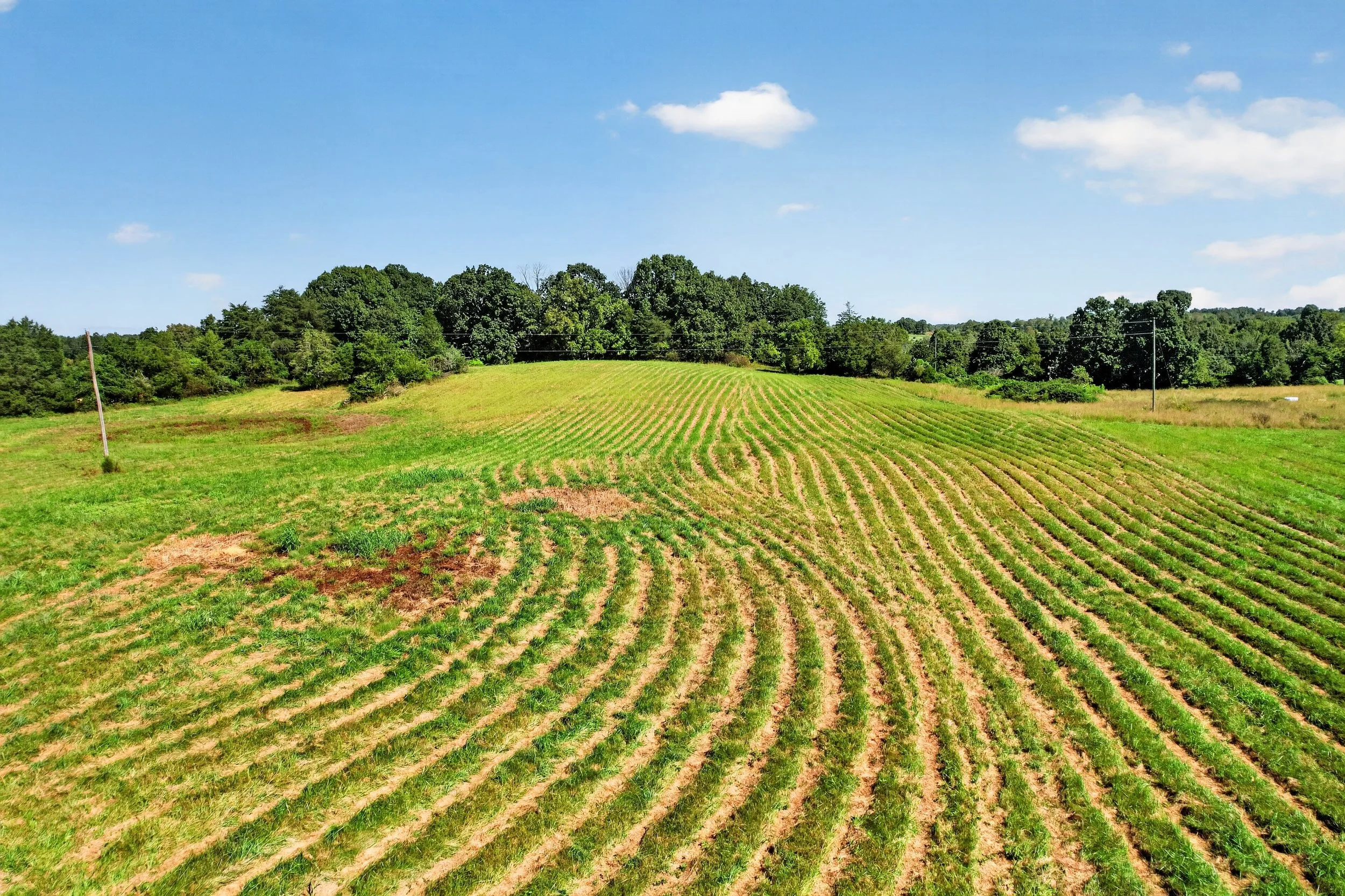 DJI_0908.jpg