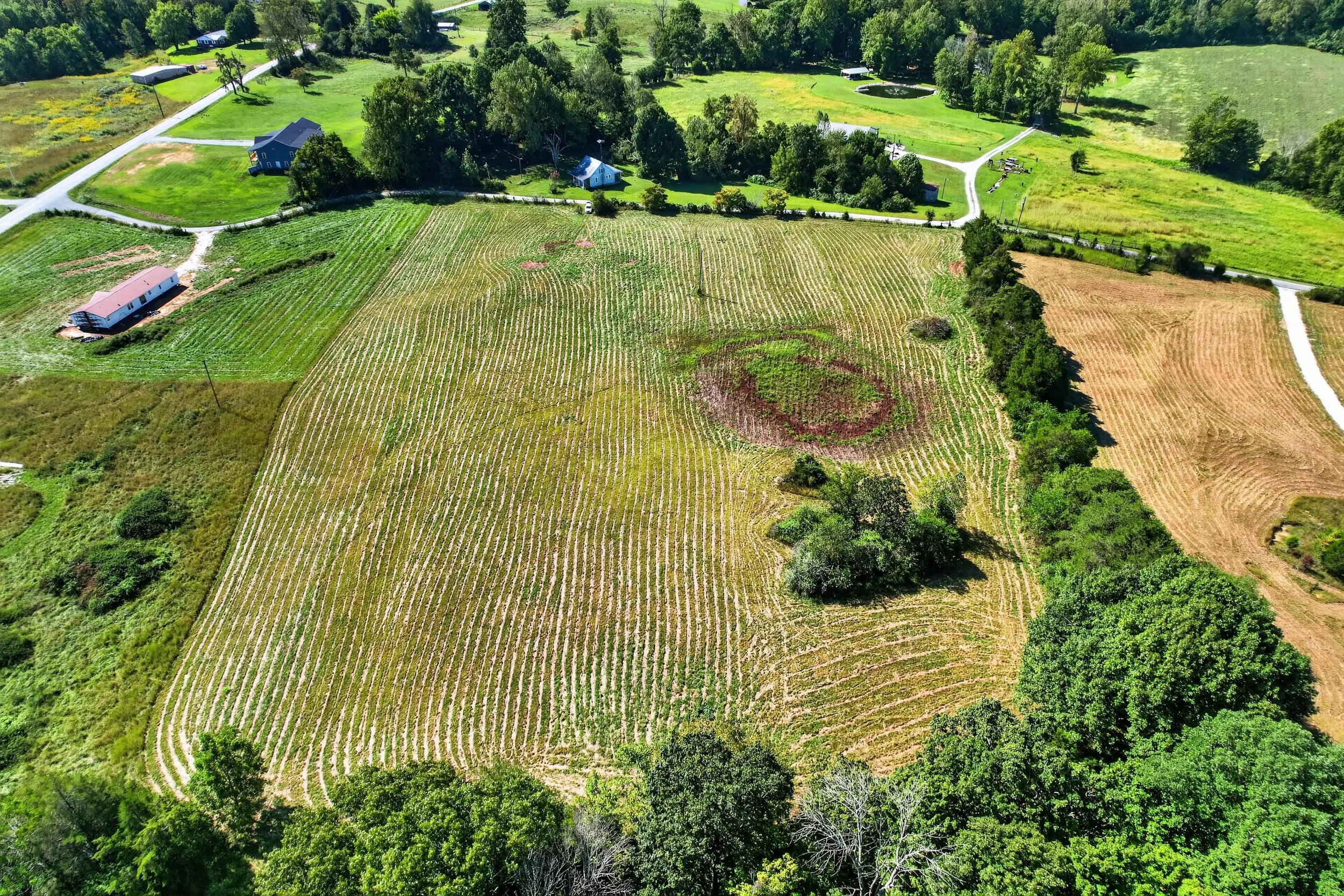 DJI_0884.jpg