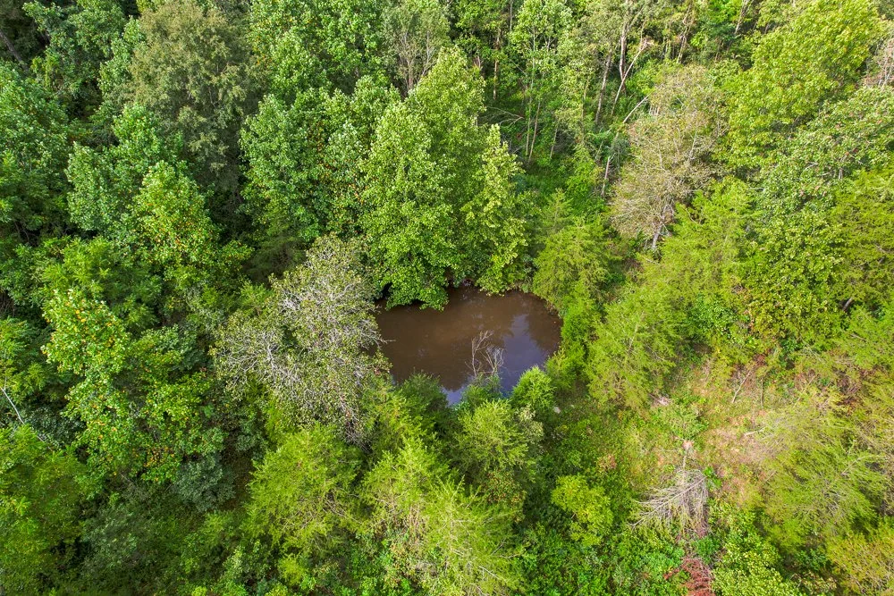 DJI_0568-HDR.jpg