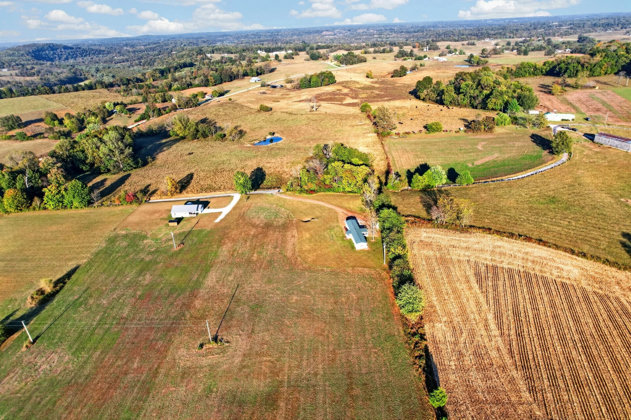 DJI_0677.jpg