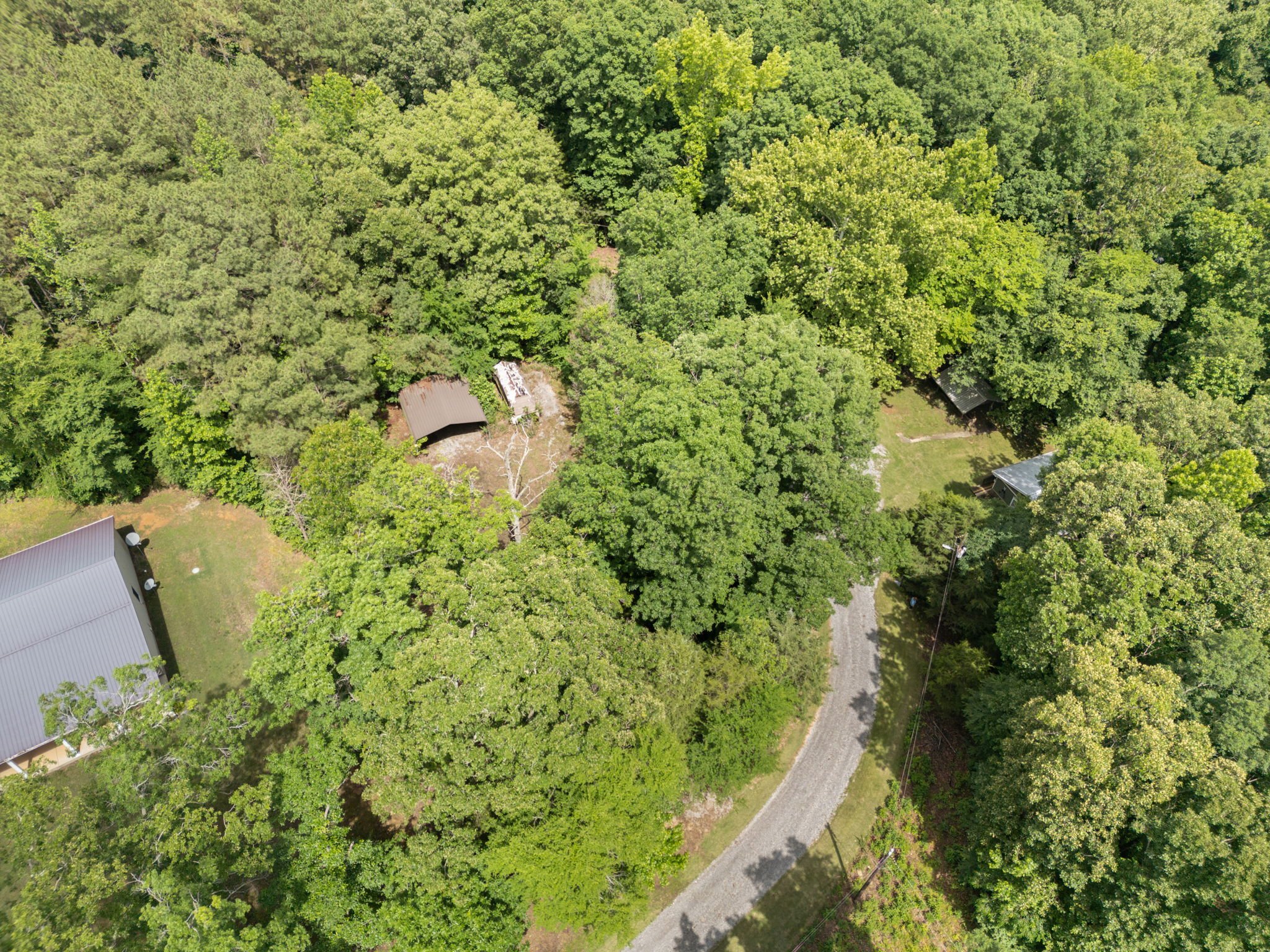 10-web-or-mls-DJI_0156.jpg