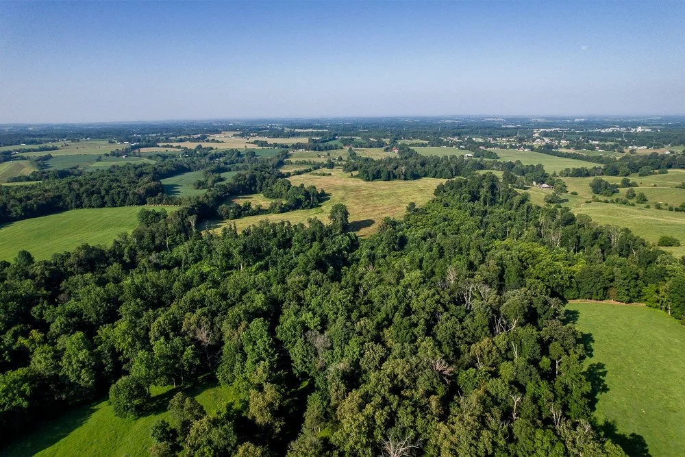 DJI_0065-HDR.jpg