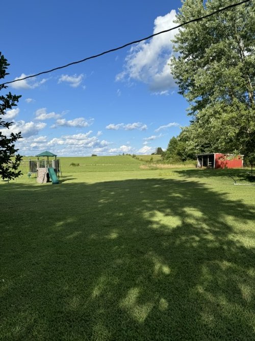 image8.jpeg